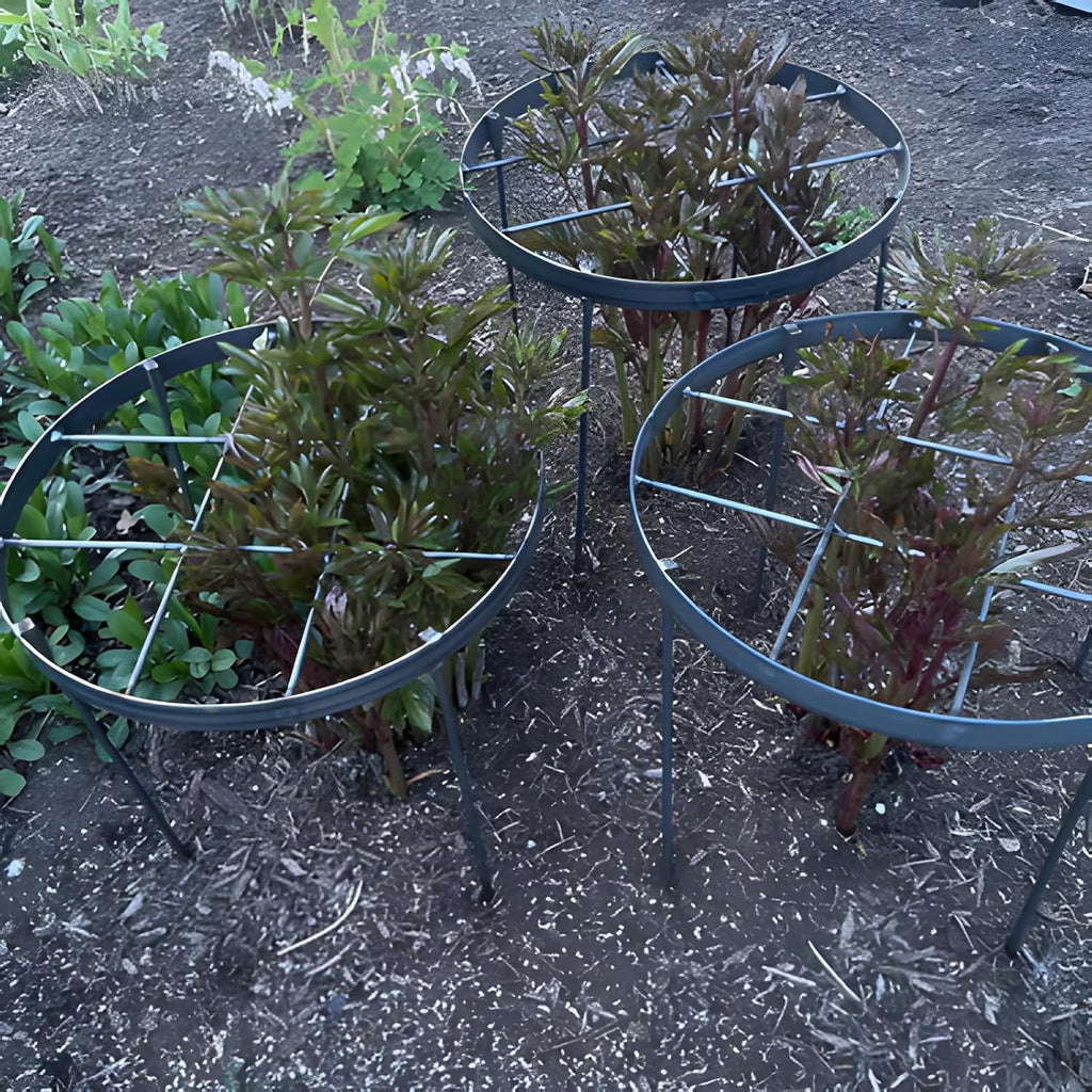 23.6" Peony Cages and Supports,Plant Support Ring for Hydrangea | Durable Round Garden Flower Rings,Tall Plant Support