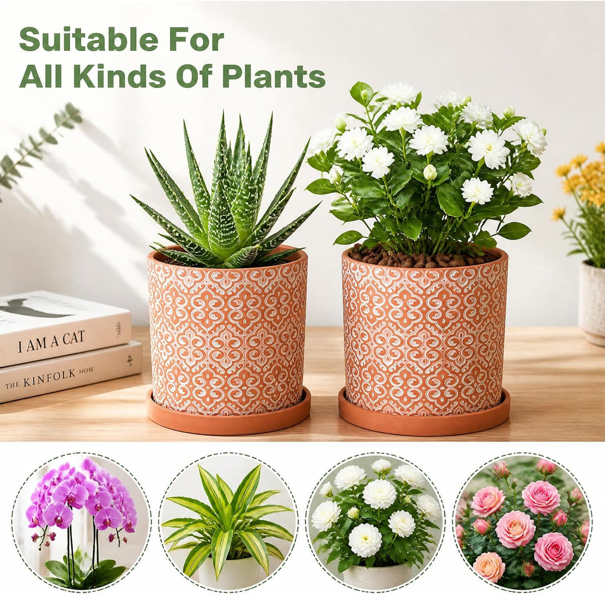 Frcctre 2 Pack Terracotta Pots for Plants, 5 Inch Succulent Planter Pot with Drainage Hole and Saucer, Clay Pottery