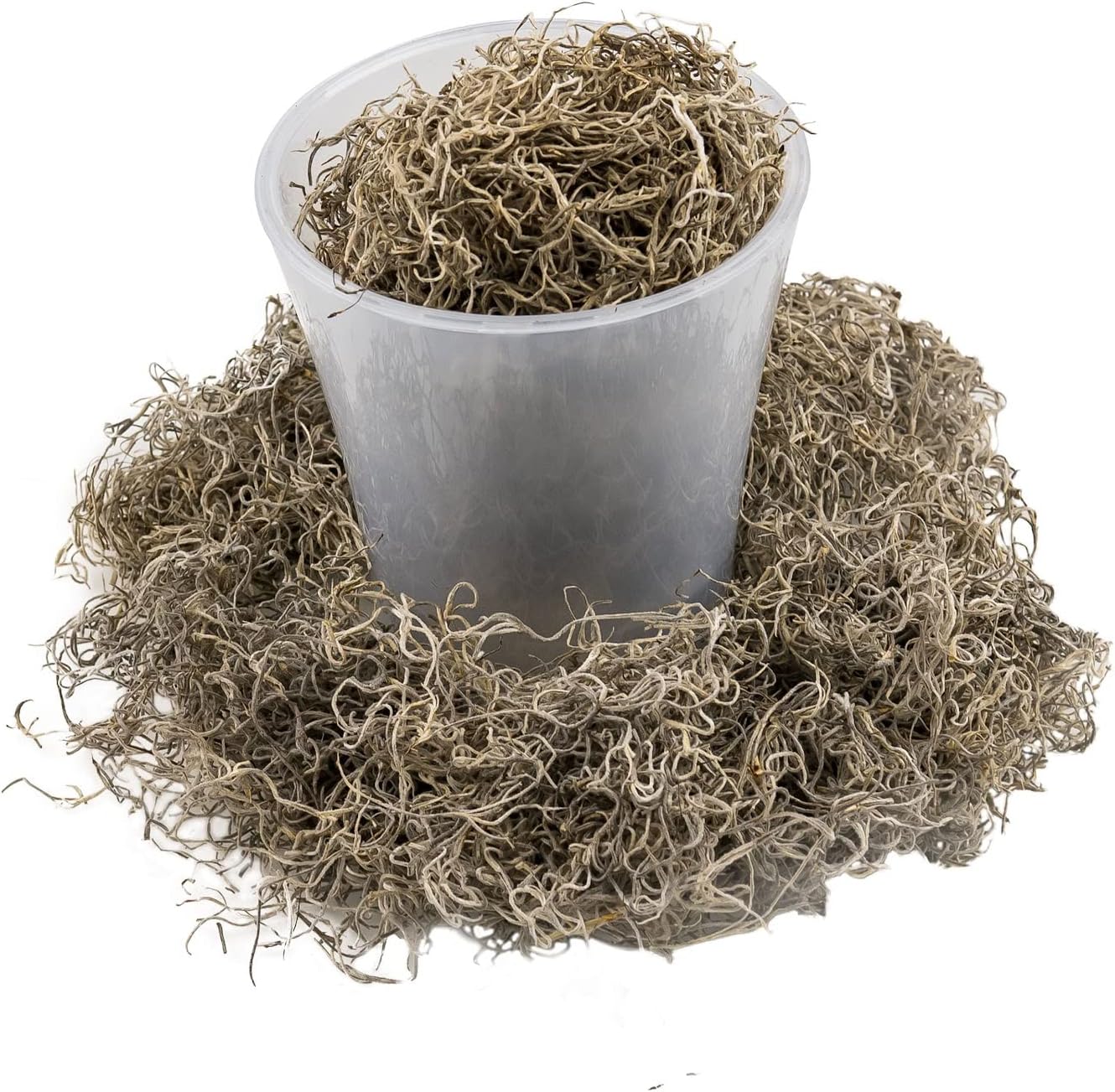 Premium Natural Spanish Moss | Natural Preserved - Great Ground Cover - Filler for Potted Plants - by GARDENERA - 5
