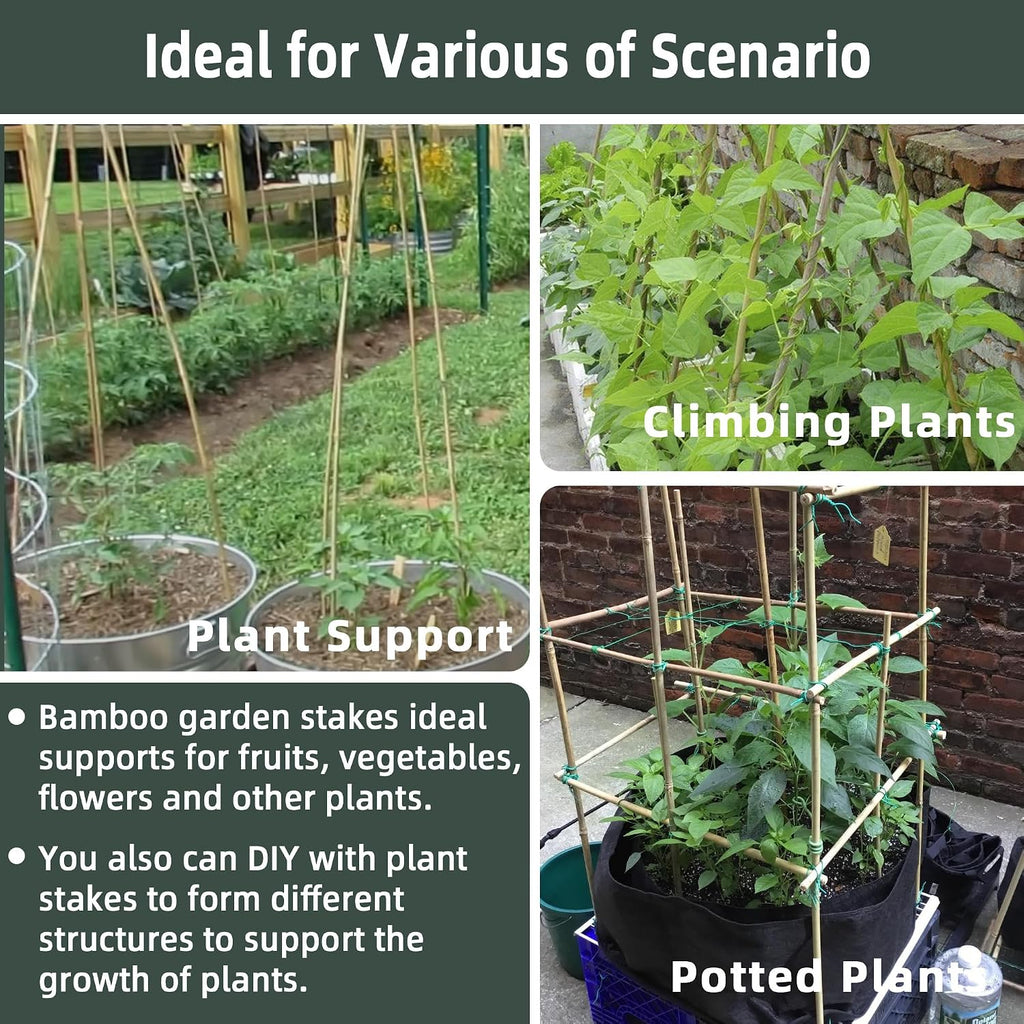 50Pcs / 2ft Bamboo Plant Stakes for Indoor Outdoor Plants, Garden Plant Support Sticks, Poles for Tomato Vegetables
