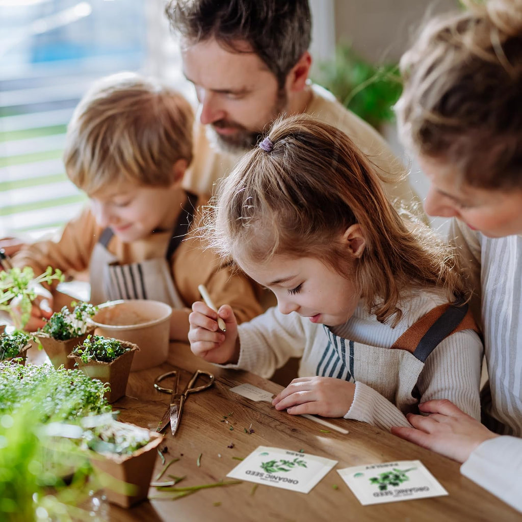 15 Certified Organic Herb Seeds Variety Pack (4X More) 10,000+ Non GMO Seeds for Planting Indoor Herb Garden or Outdoor