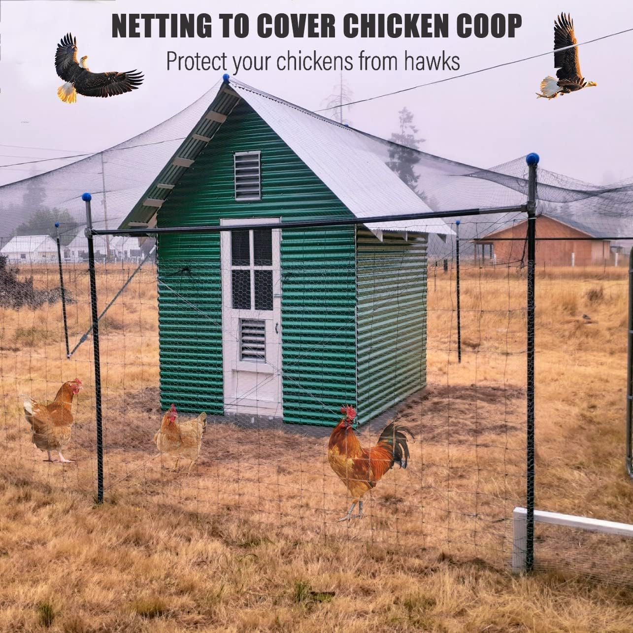 Bird Netting for Chicken Coop,50x50ft Poultry Netting with 2.4" Square Mesh | Heavy Duty Garden Net for Blueberry