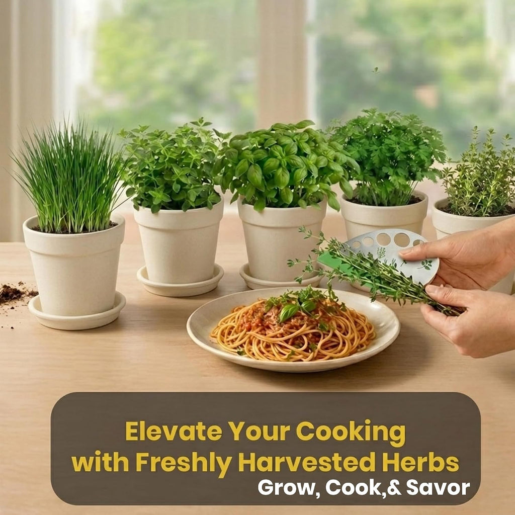 47 PCS Herb Garden Seeds Starter Kit, 10 Non-GMO Culinary Herb Seeds with Beige Pots & Planters for Windowsill, Herb