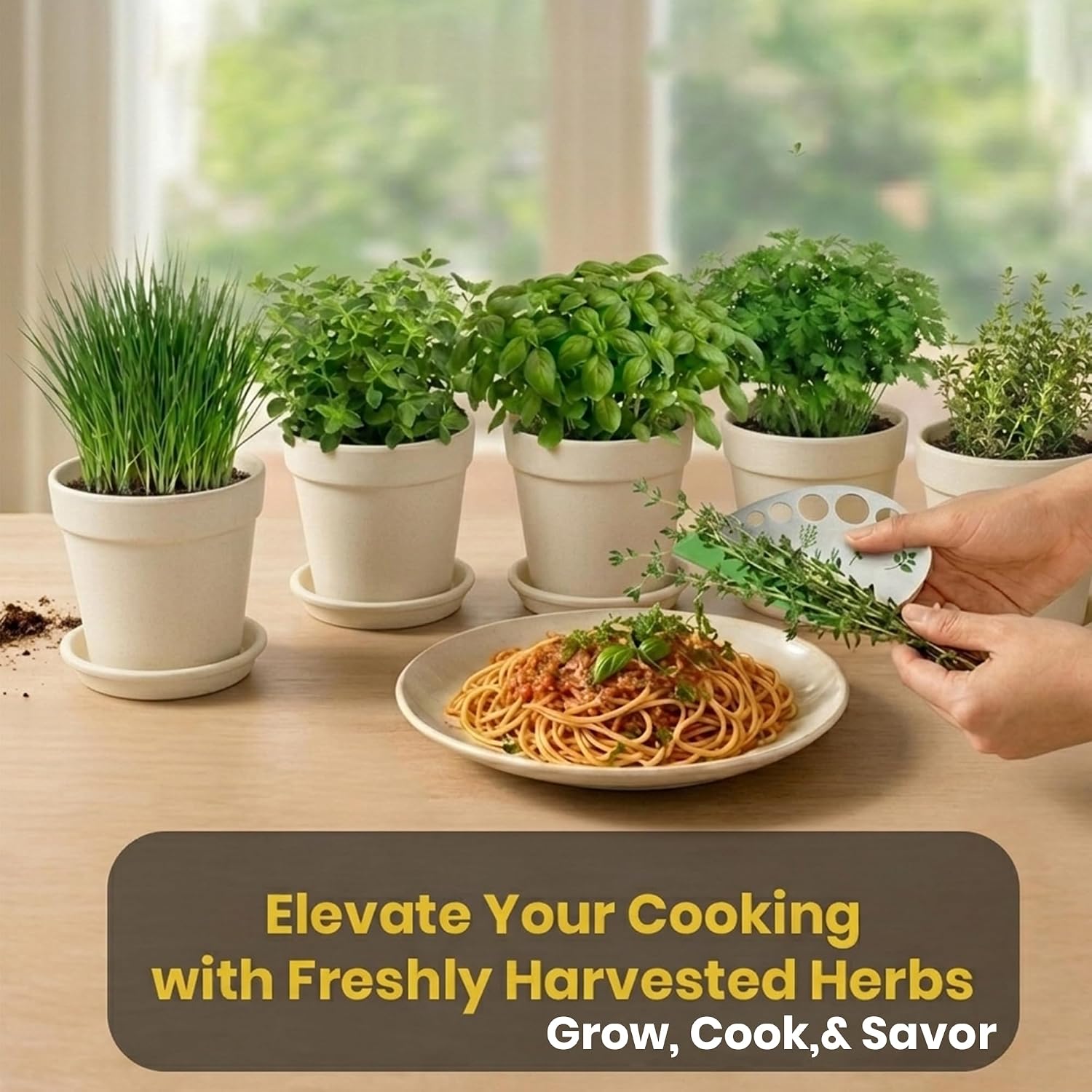 47 PCS Herb Garden Seeds Starter Kit, 10 Non-GMO Culinary Herb Seeds with Beige Pots & Planters for Windowsill, Herb