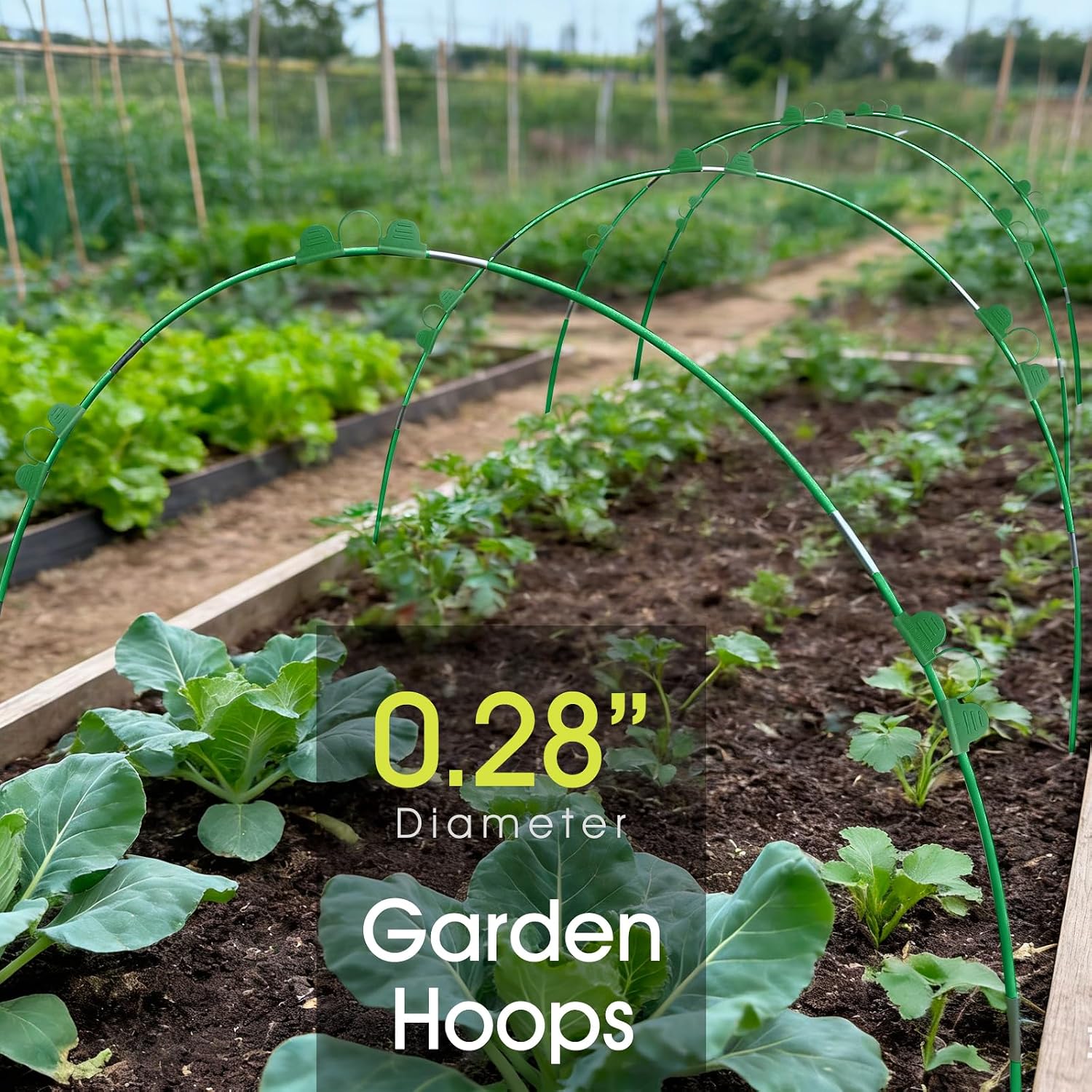 RIFNY Garden Hoops for Raised Beds, Greenhouse Hoops for Row Cover, 30 PCS | Long Grow Tunnel, Rust-Free Fiberglass