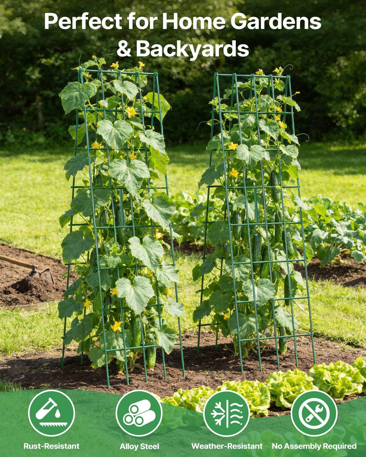 Suteck A-Frame Cucumber Trellis 59.4" 2 Pack, Foldable Metal | Garden Trellis for Cucumbers, Peas, Beans & Climbing