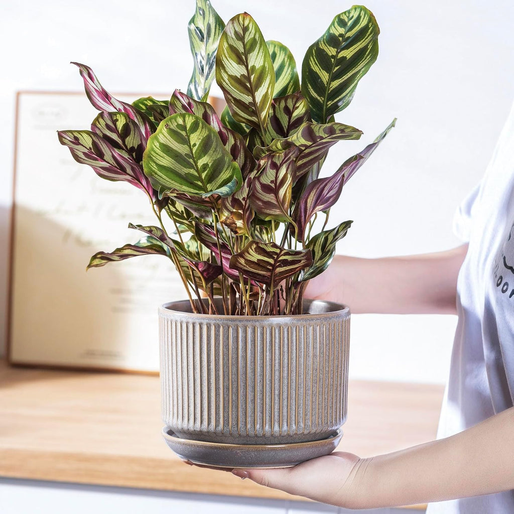 SURE YUESI Ceramic Plant Pots Set of 3, Indoor Outdoor Planters with Drainage Hole and Saucer, Ceramic Flower Pots for