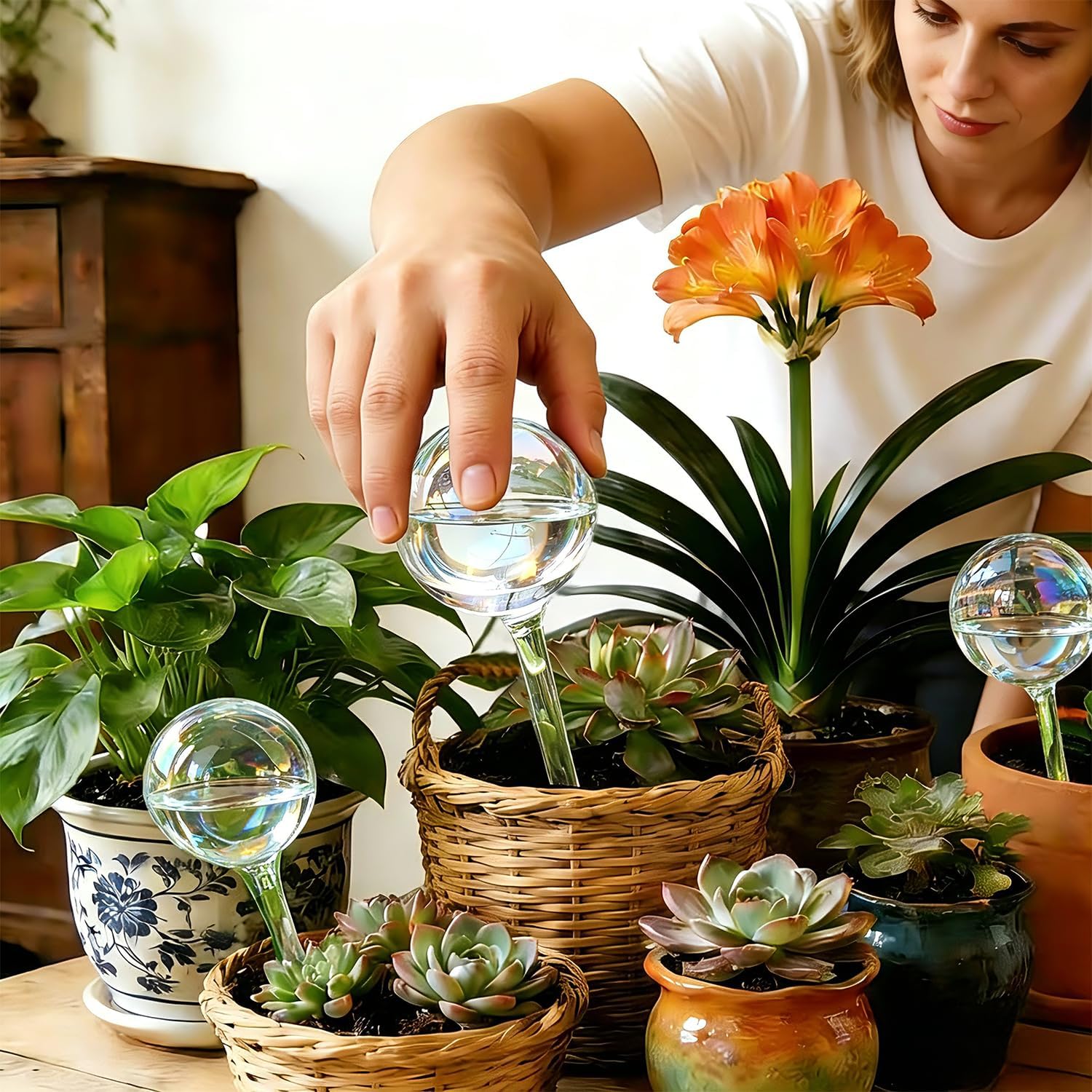 Self Watering Globes for Plants, Large 6pcs Glass Garden Self Watering Bulb | Up to 5 Days of Irrigation Self Watering