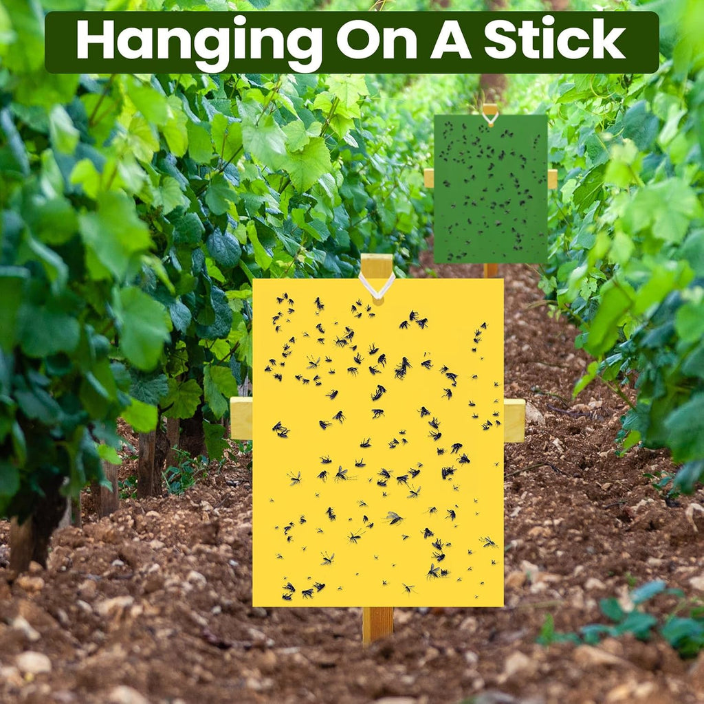Qualirey 150 Pcs Yellow,Blue,Black Sticky Traps 6x8in for Gnats Indoor | Dual-sided for Fungus Gnats Fruit Flies