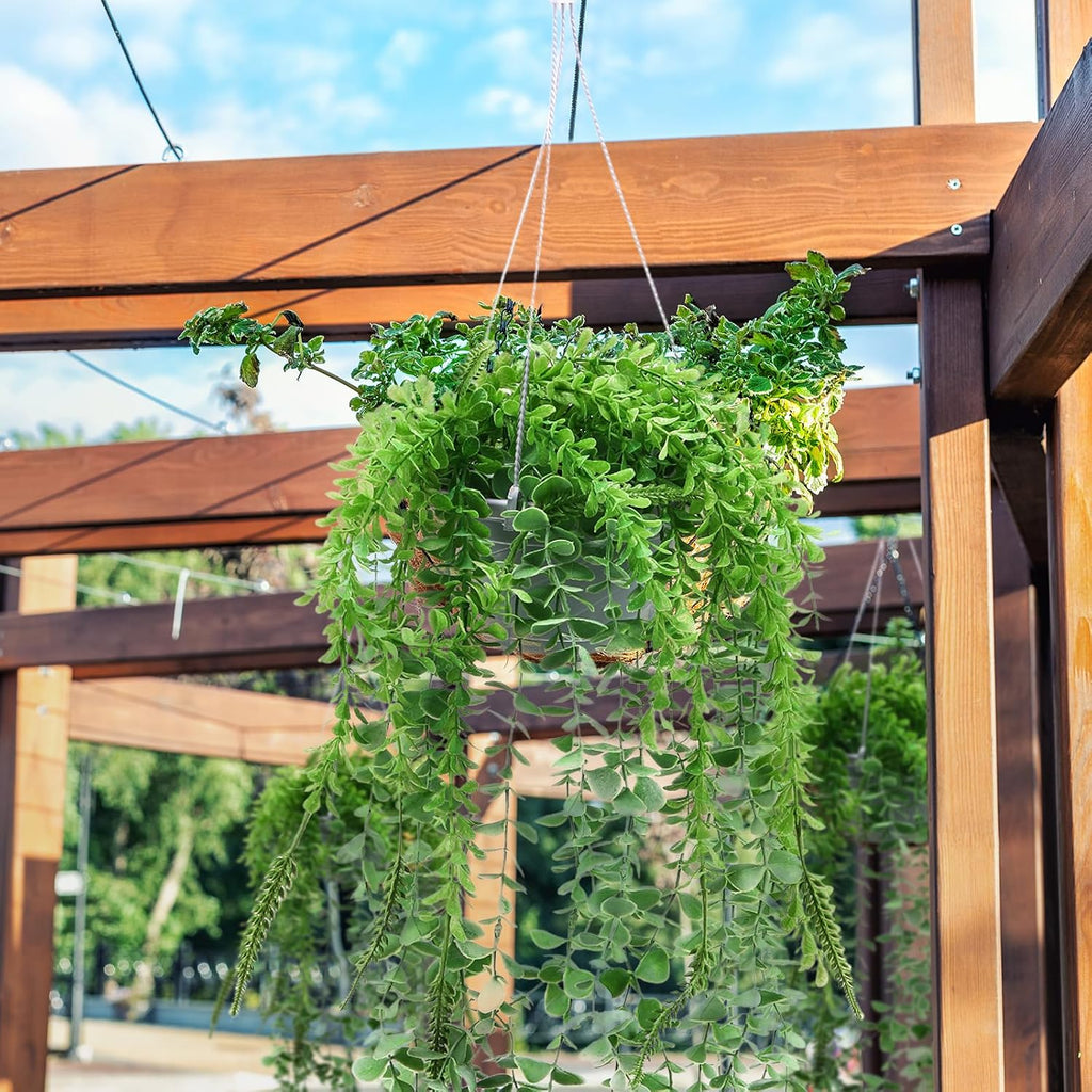 Tioncy 50 Pcs Plastic Hanging Planter Round Hanging Pot for Plants Containers with Hook Flower Plant Pots Holders for