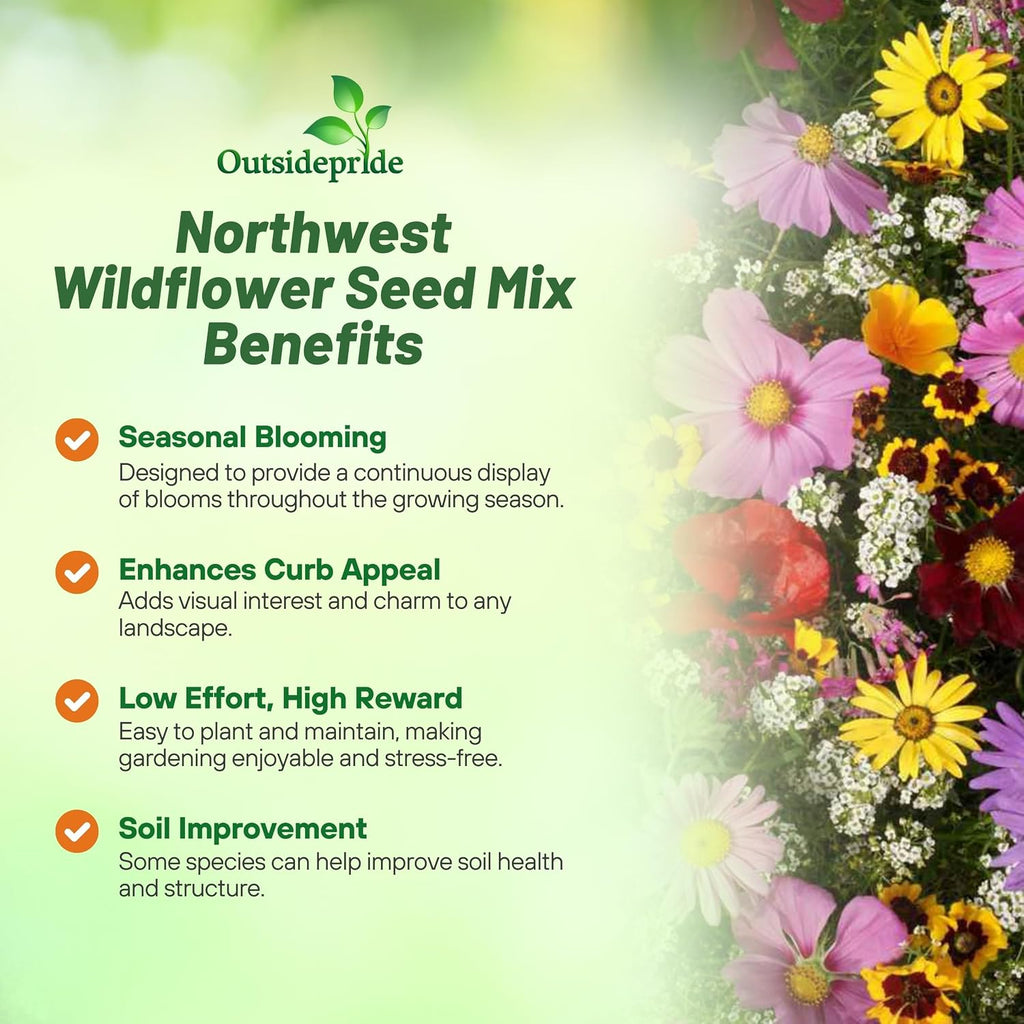 Outsidepride Northwest Wild Flower Seed Mix - 1 lb Premium Blend of Annual & Perennial Wildflower Seeds for
