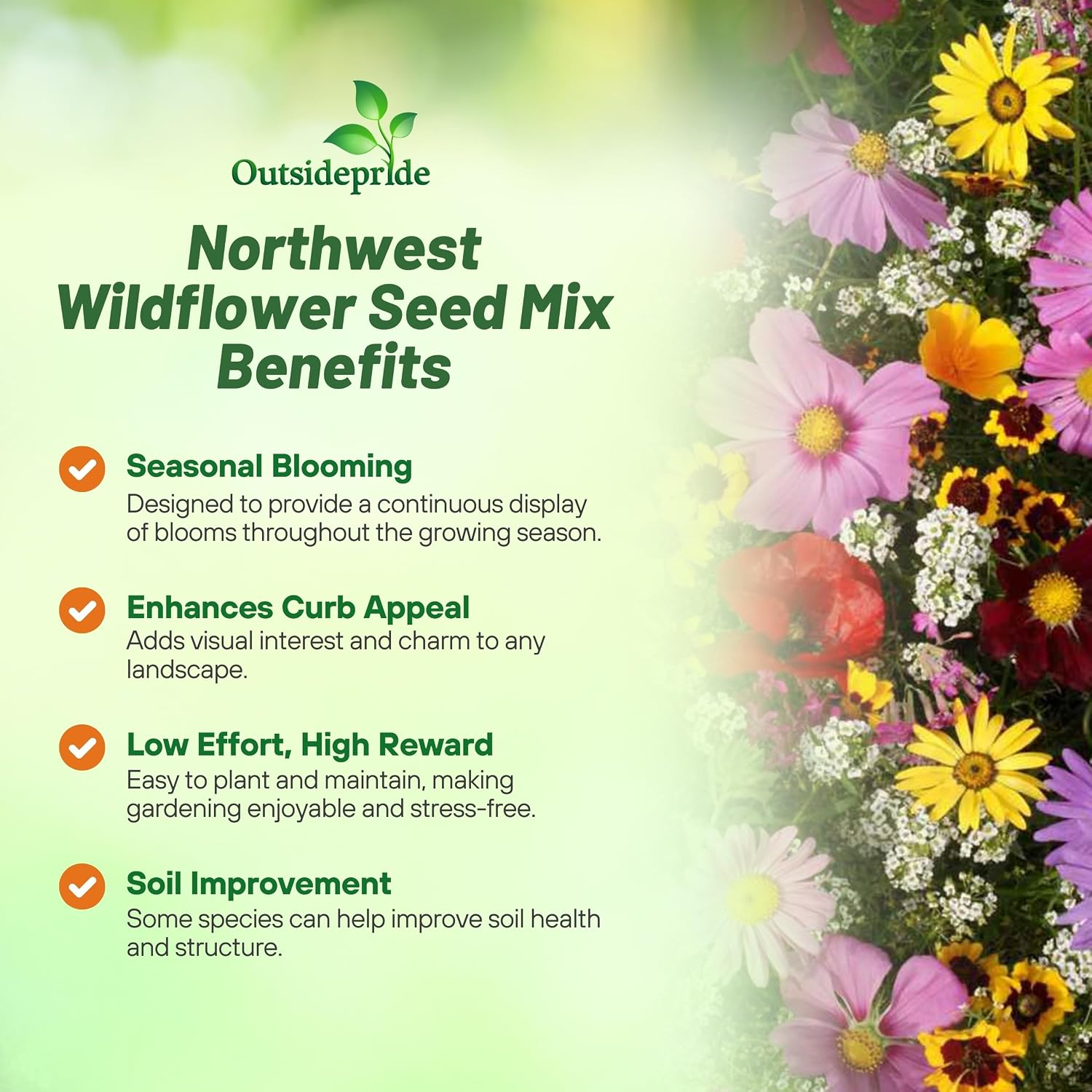 Outsidepride Northwest Wild Flower Seed Mix - 1 lb Premium Blend of Annual & Perennial Wildflower Seeds for