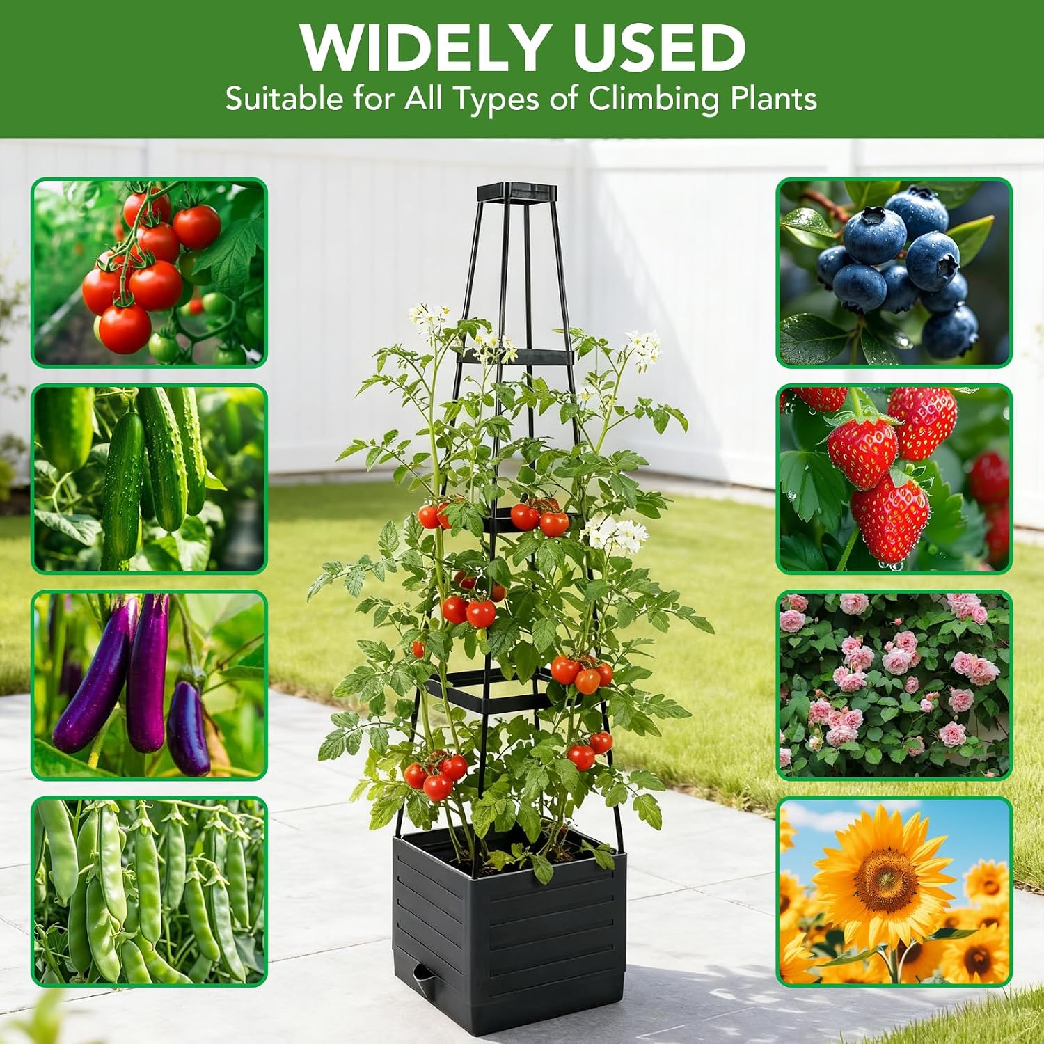 2 Pack Raised Garden Bed Planter Box with Trellis, 57'' Self Watering Tomato Planters for Climbing Plants, Tomato Cage