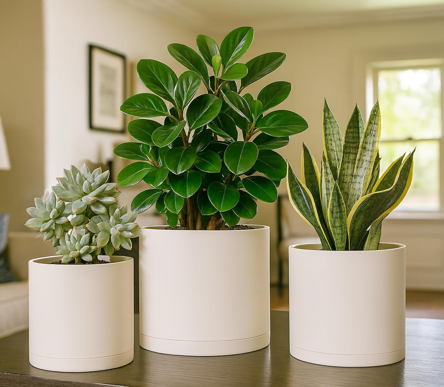 D'vine Dev 3-Pack Plastic Pots & Saucers, 6/6.5/8 in, Oatmeal, 74-V-H-3 | Multi-Size Options, Lightweight Durable