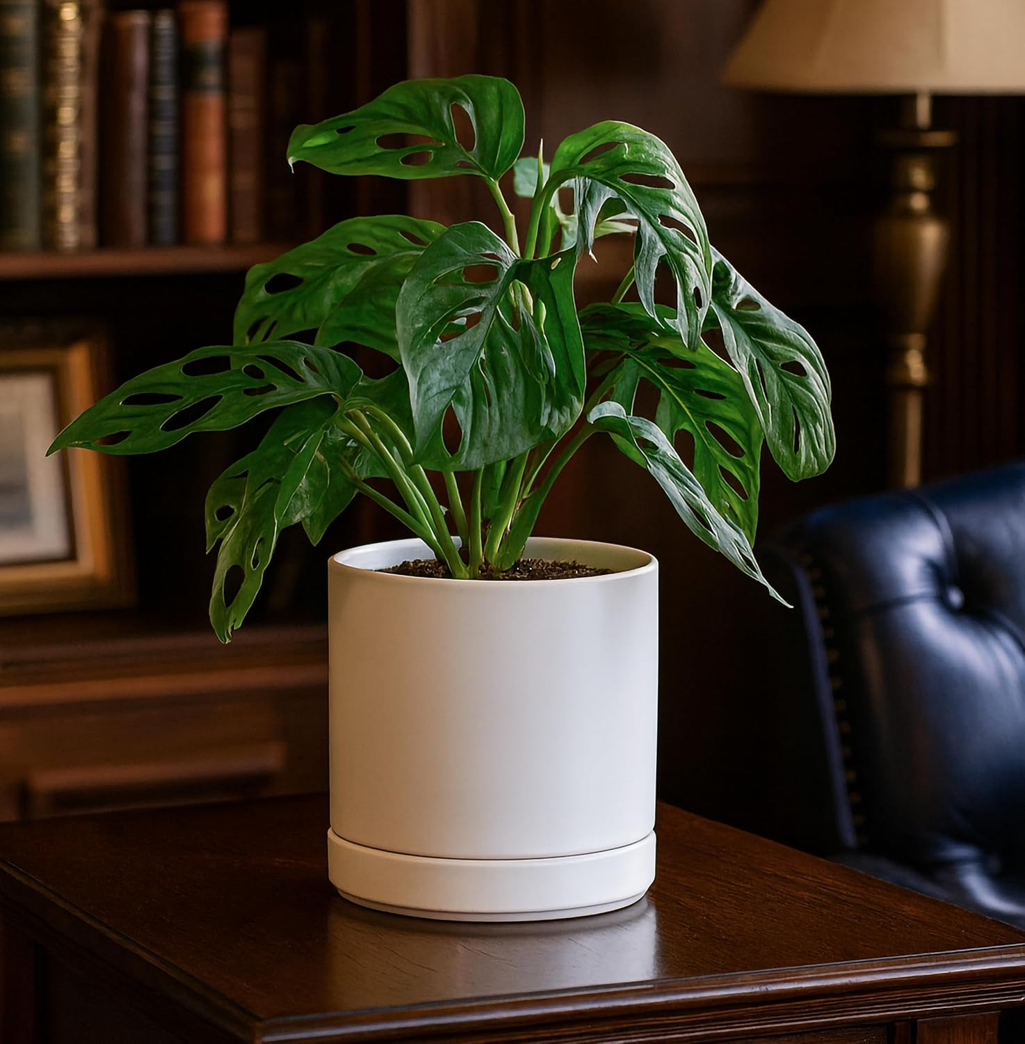 D'vine Dev 6.5 Inch Ceramic Planter Pot, White, 94-O-C-1 | Modern Cylinder Design, Drainage Hole & Saucer Included