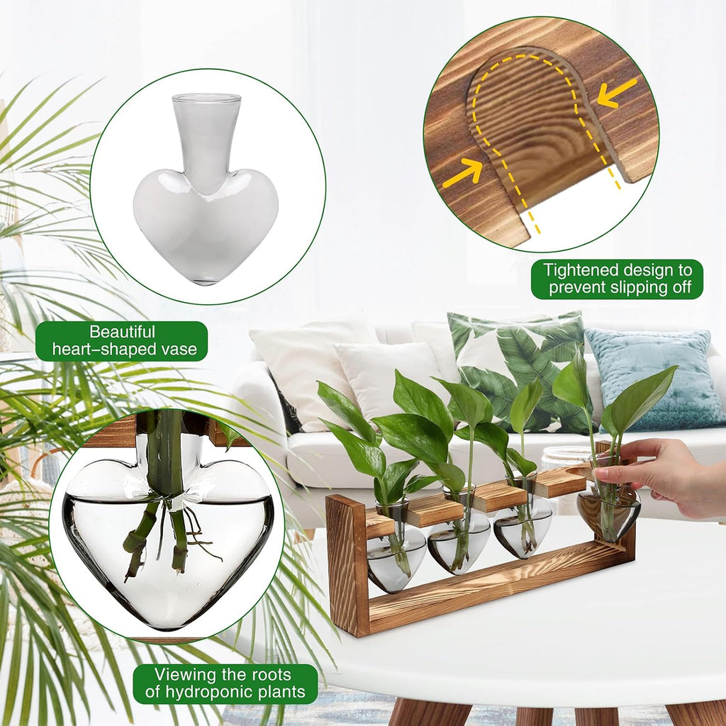 Plant Propagation Stations Heart Plant Terrarium Kit | Gift for Women Plant Lover Glass Vases