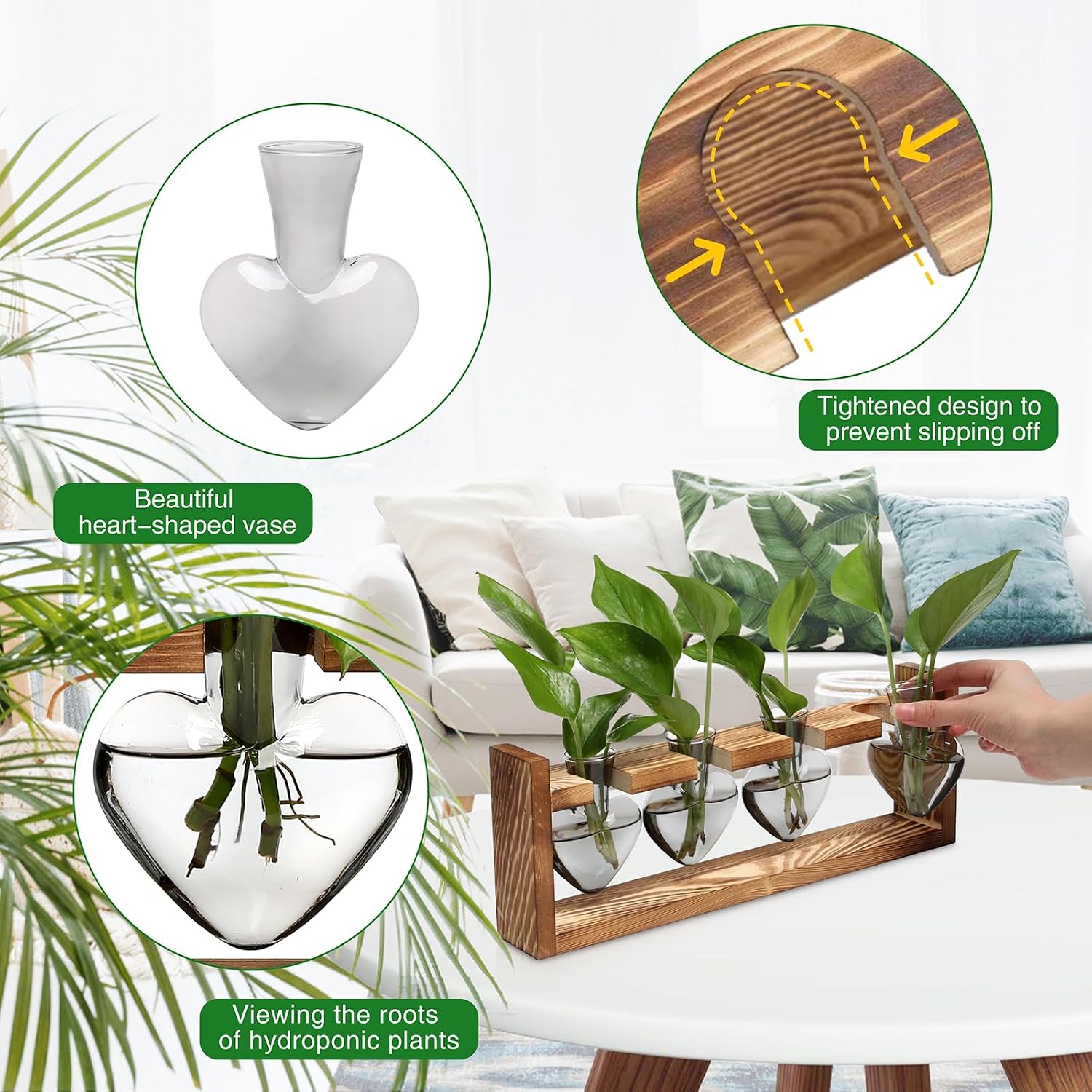 Plant Propagation Stations Heart Plant Terrarium Kit | Gift for Women Plant Lover Glass Vases