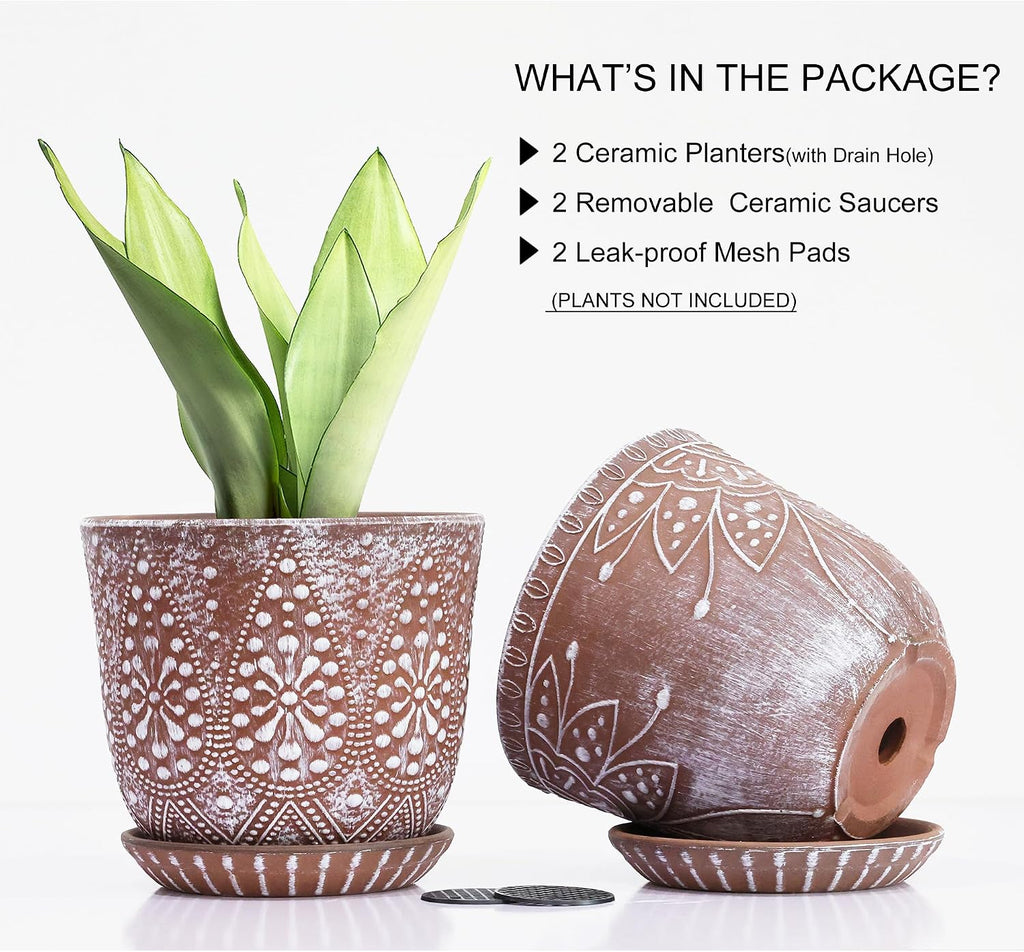 Gepege Ceramic Plant Pots, 6 Inch Indoor Planters with Drainage & Saucers | Ceramic pots for plants with drainage