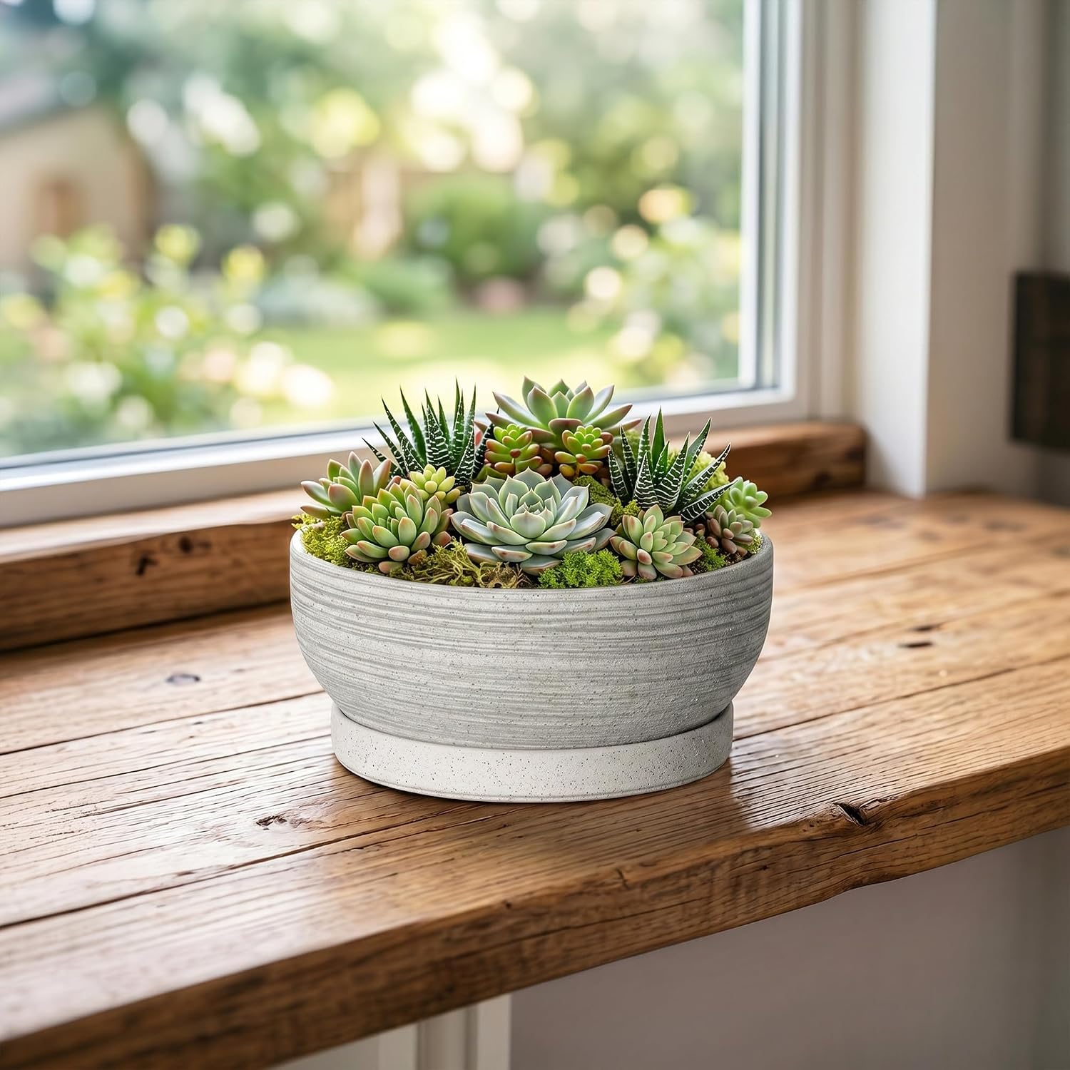6 Inch Ceramic Succulent Planters with Saucer, Brushed Grey | Small Bonsai Tree Pots with Drainage Hole, Round Pots for
