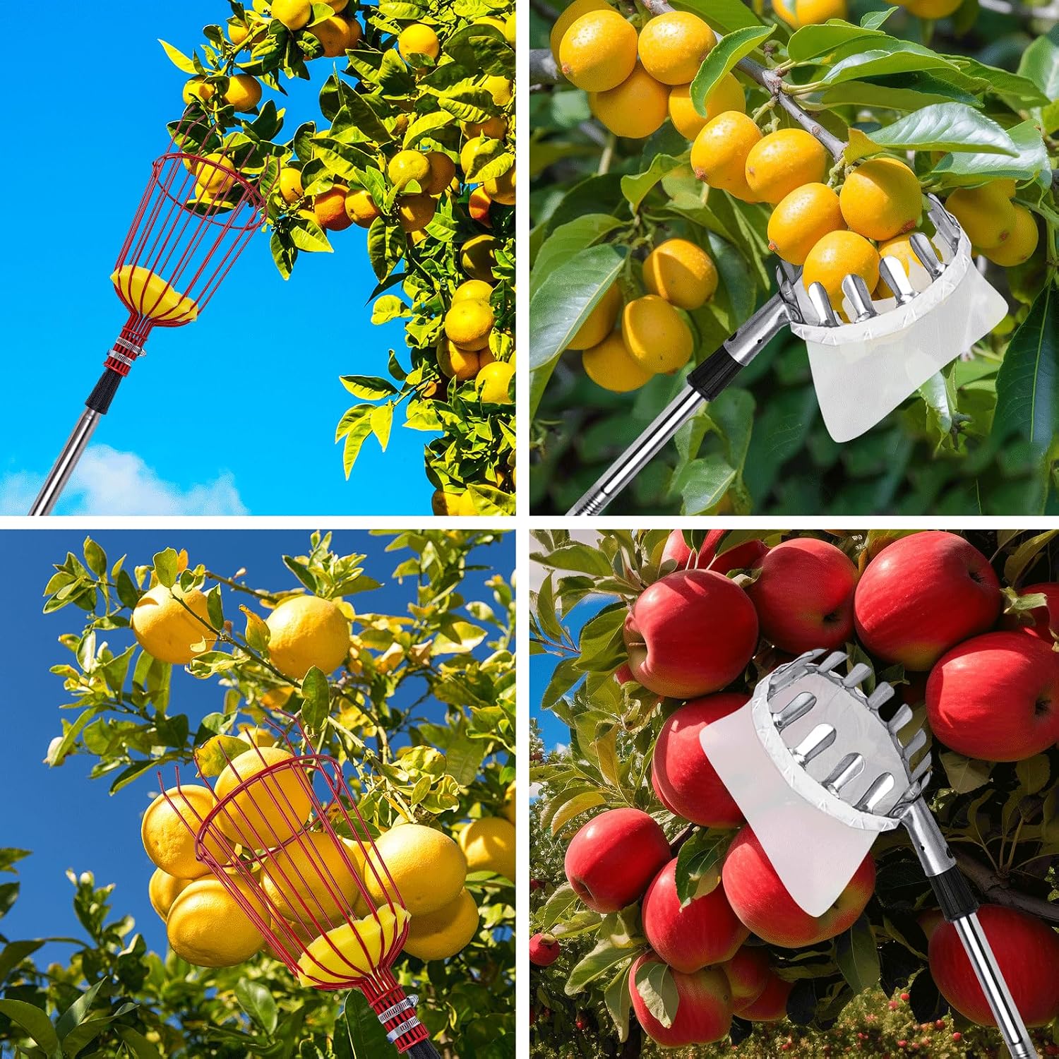 20 Ft Fruit Picker with Wire Basket and Bag Basket,Adjustable Stainless Steel Fruit Picker Pole with Universal Thread