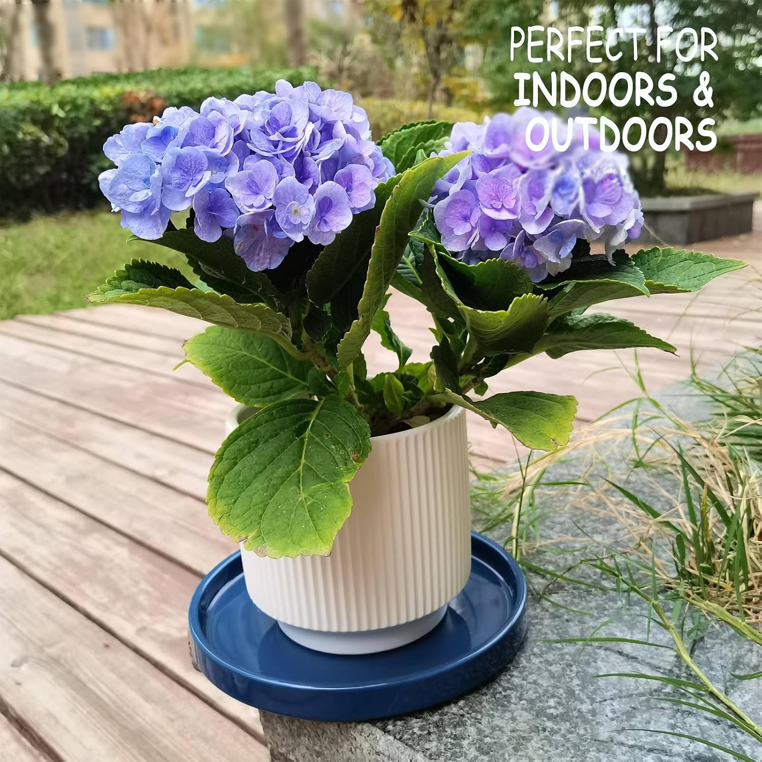 Ceramic Plant Saucer 7 Inch, 2 Pack Round Plant Trays for Indoors/Outdoors, Flower Pot Saucers for Holding Water Drips