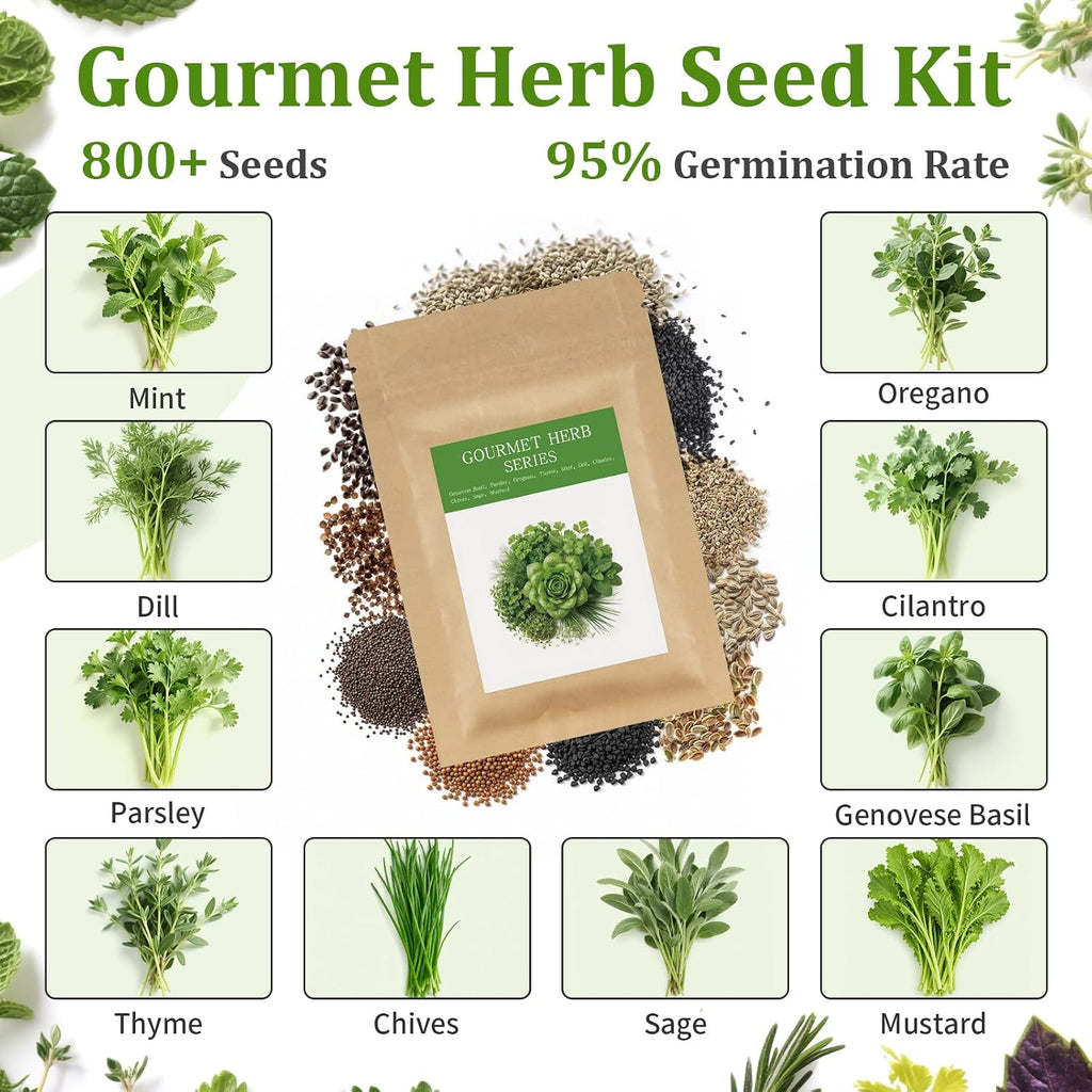 Indoor Herb Garden Starter Kit, 10 Non-GMO Herb Seeds for Basil, Parsley, Thyme, Mint, Cilantro, Dill, Oregano, Chives
