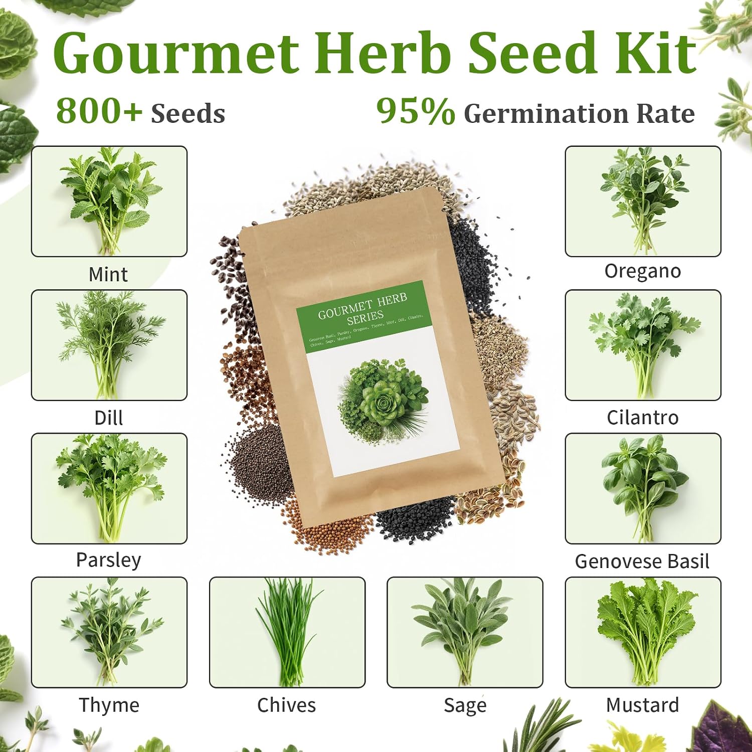 Indoor Herb Garden Starter Kit, 10 Non-GMO Herb Seeds for Basil, Parsley, Thyme, Mint, Cilantro, Dill, Oregano, Chives
