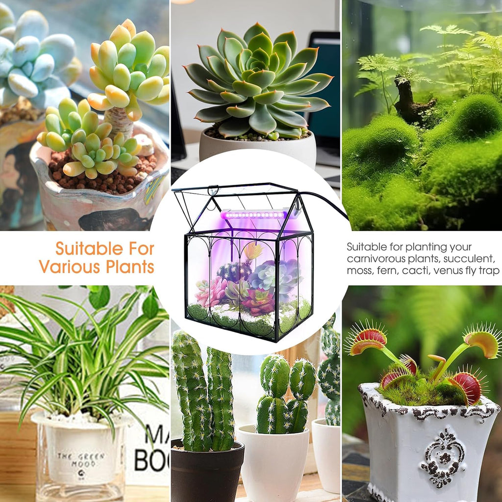 RIFNY Plant Terrarium with Grow Light, Glass Terrarium 8.9 x 5.9 x 9.9 Inch | Terrarium with LED Grow Light and