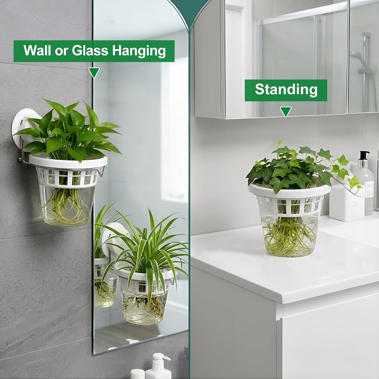 3 Pcs Window Propagation Stations Plastic Wall Hanging Planter with Suction Cup Holder Window Mounted Plant for
