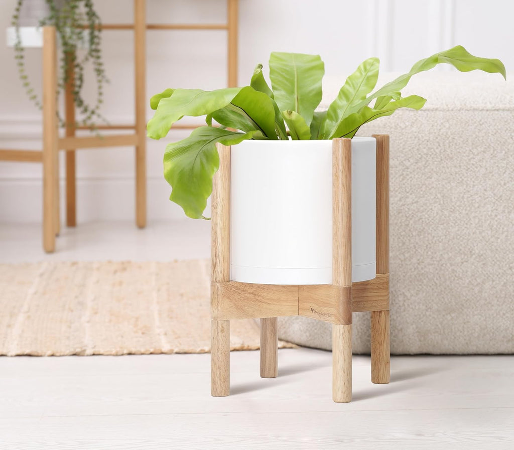 D'vine Dev Plastic Pot with Natural Wood Stand, White, 8 in, 55-C-J-1 | Mid-Century Inspired Design, Elevated Plant