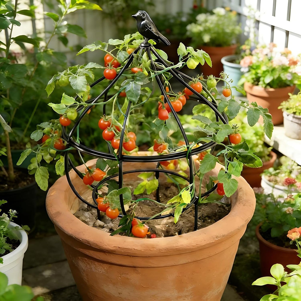 aboxoo Sturdy Metal Garden Obelisk Trellis, 11.5"x11.5"x18" Plant Support | Easily-assembled support for topiaries &