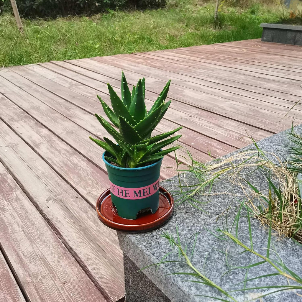 Ceramic Plant Saucer 5 Inch, 2 Pack Round Plant Saucers for Indoors/Outdoors, Flower Pot Saucers for Holding Water