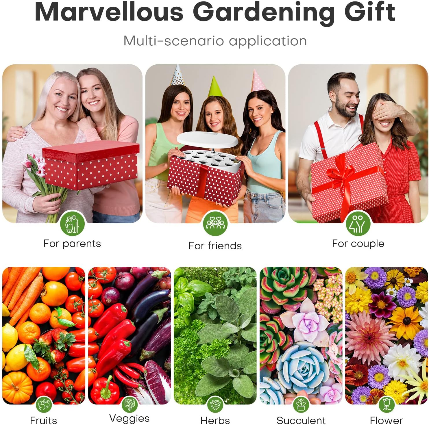 12 Pods Indoor Garden Hydroponics Growing System Kit with LED | Plant Germination Kit, Tabletop Herb Garden with Grow