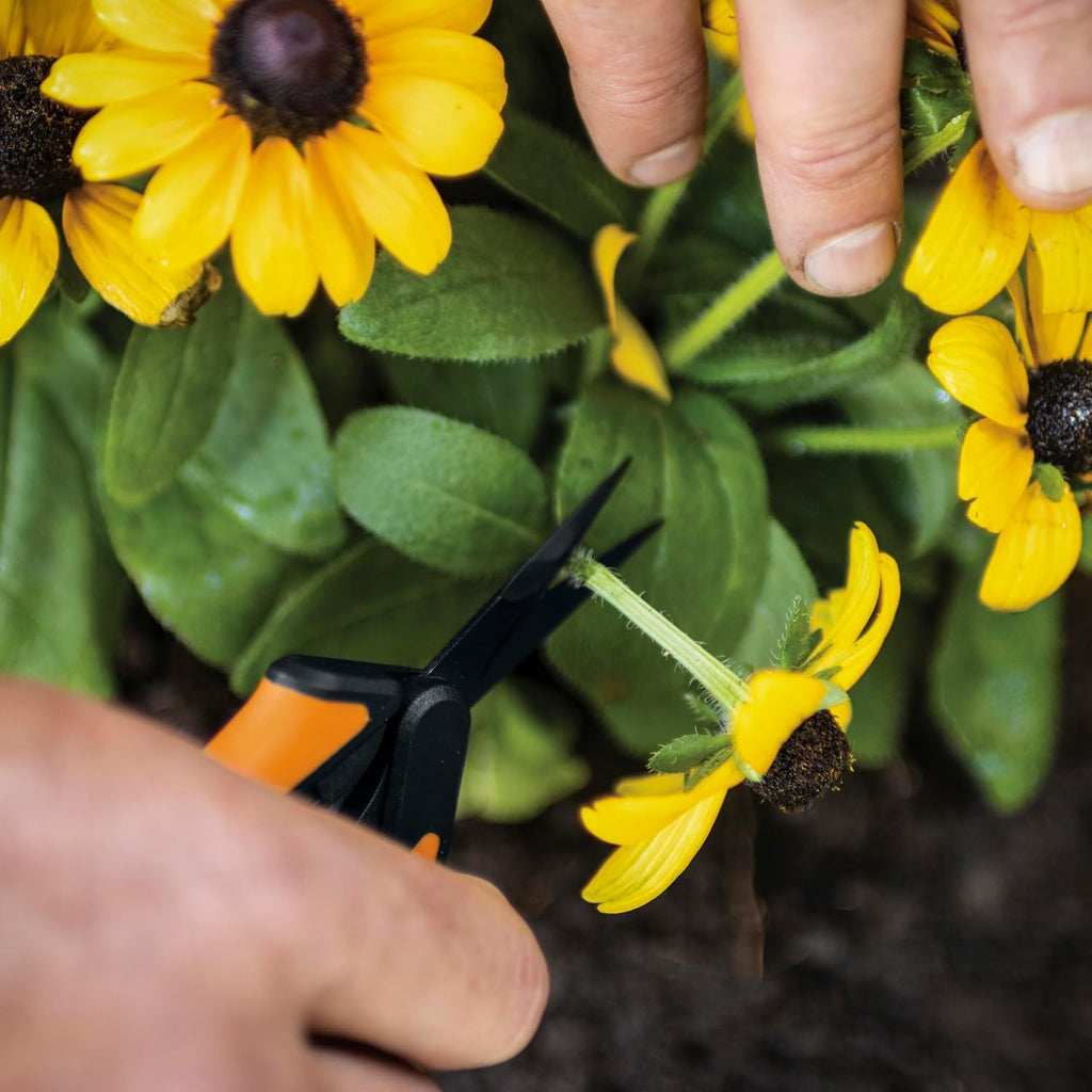 Fiskars 6" Non-Stick Pruning Snips, Resin-Resistant Garden Scissors, 2-Pack | Garden Shears for Weeds, Flower Buds &
