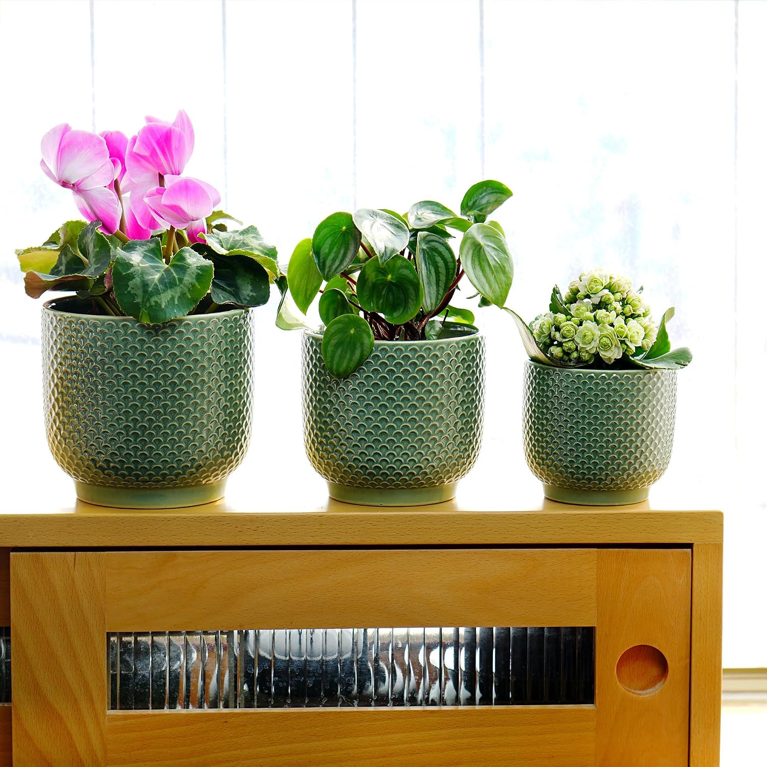 4 + 5 + 6 Inch Ceramic Pots for Indoor Plants, Succulents Plant Pots, Orchid Flower Pot with Drainage Hole, Modern Clay