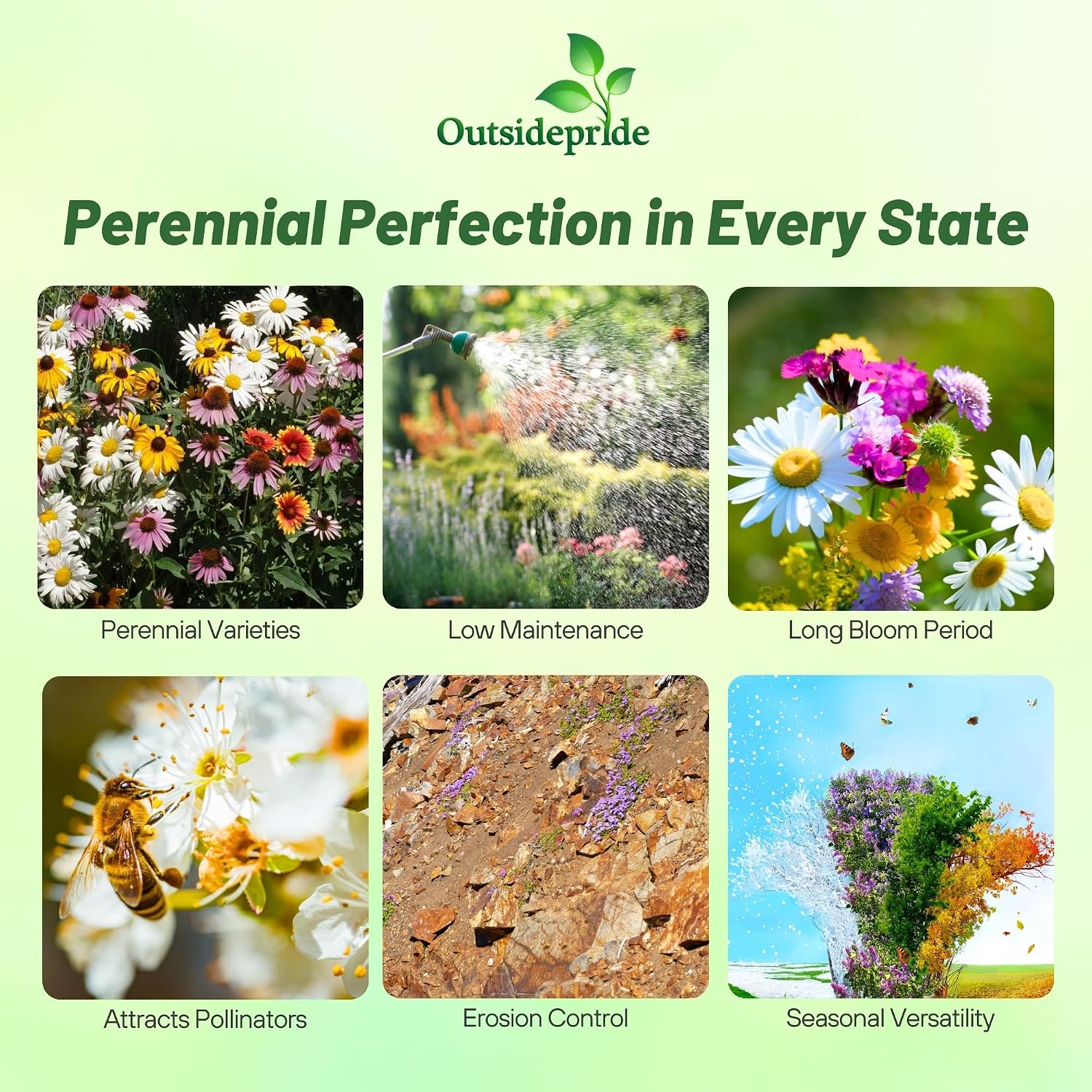 Outsidepride Perennial Wild Flower Seed Mix - 1 lb. Diverse, Long-Lasting Blooms, Easy to Grow Perennial Flower Seeds