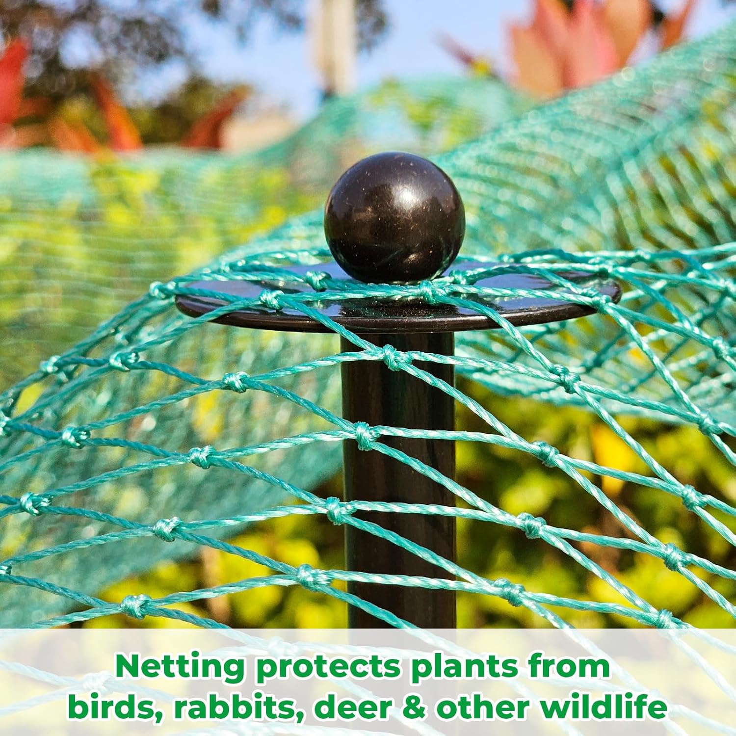 72 Inch Garden Stake Netting Support, Black Heavy Duty Powder Coated Steel Frame for Garden Fencing, Plant & Crop