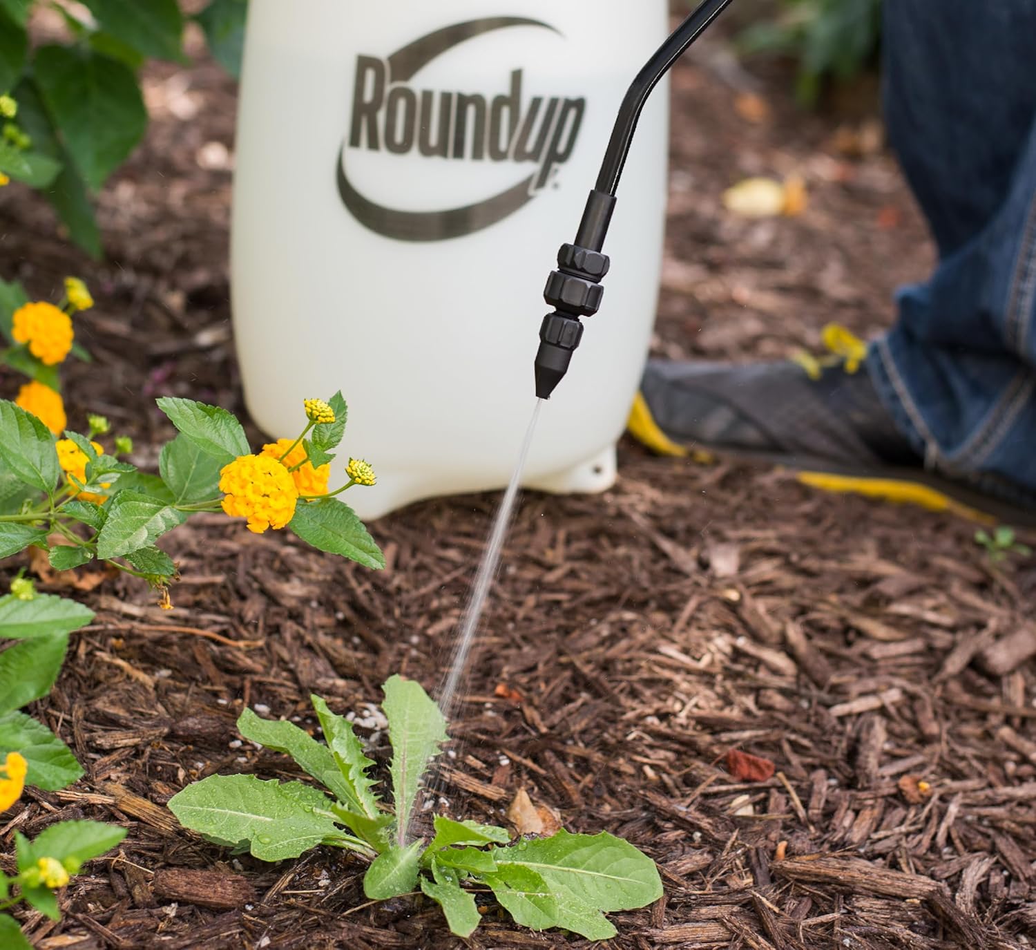 Roundup 190260 2-Gallon Lawn and Garden Sprayer for Controlling Insects and Weeds or Cleaning Decks and Siding