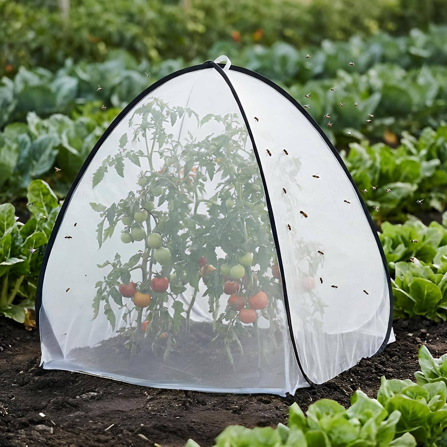 2 Pcs Pop Up Insect Barrier Plant Cover Tent, 22 x 22 x 22 Inch Foldable Garden Plant Protectors Mesh Enclosure, Garden