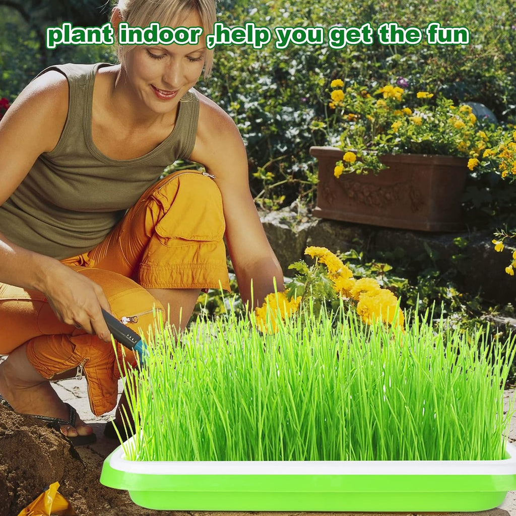 SHUESS 6 Pack Seed Sprouting Tray with Drain Holes BPA Free Nursery Tray Microgreens Growing Trays Wheatgrass Grower