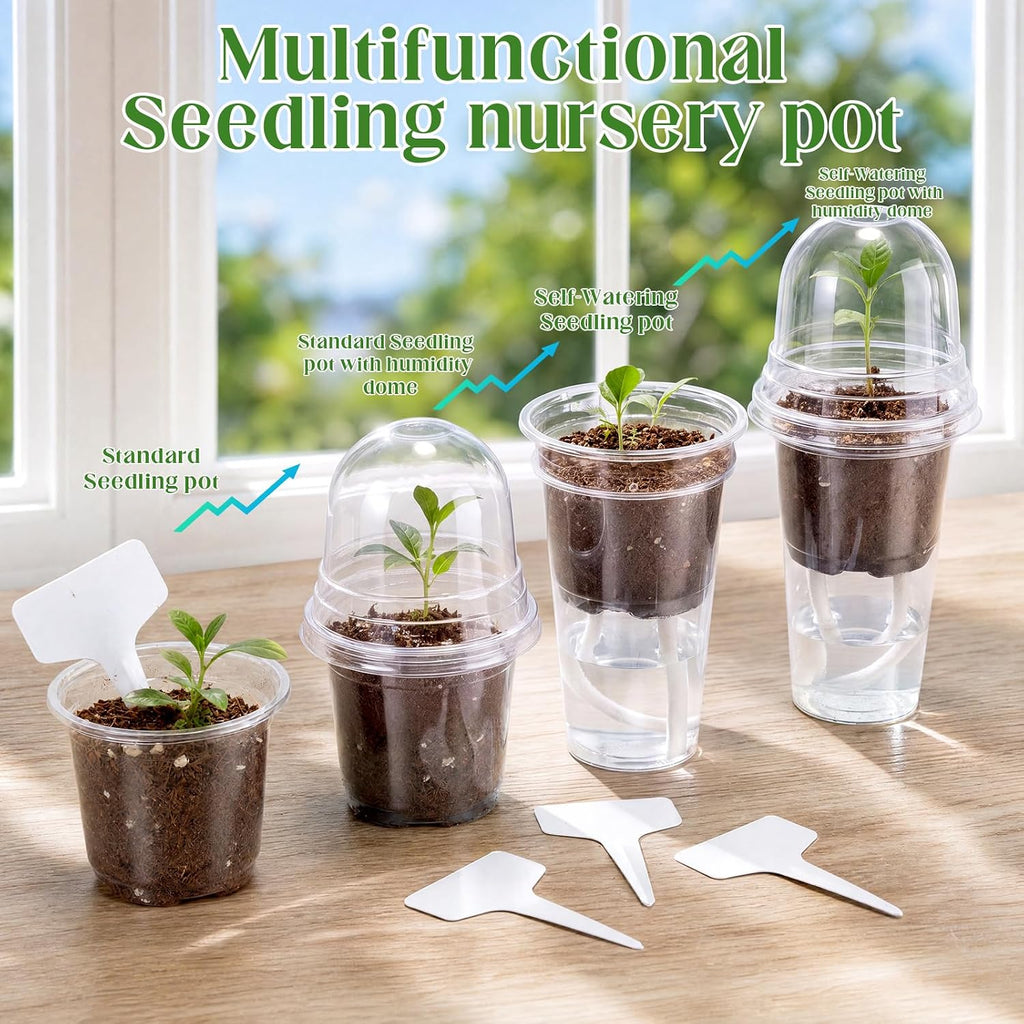 15 Pack 3.5" Self Watering Propagation Pots Clear Plastic | Nursery Cups with Humidity Dome, for Alocasia Corms