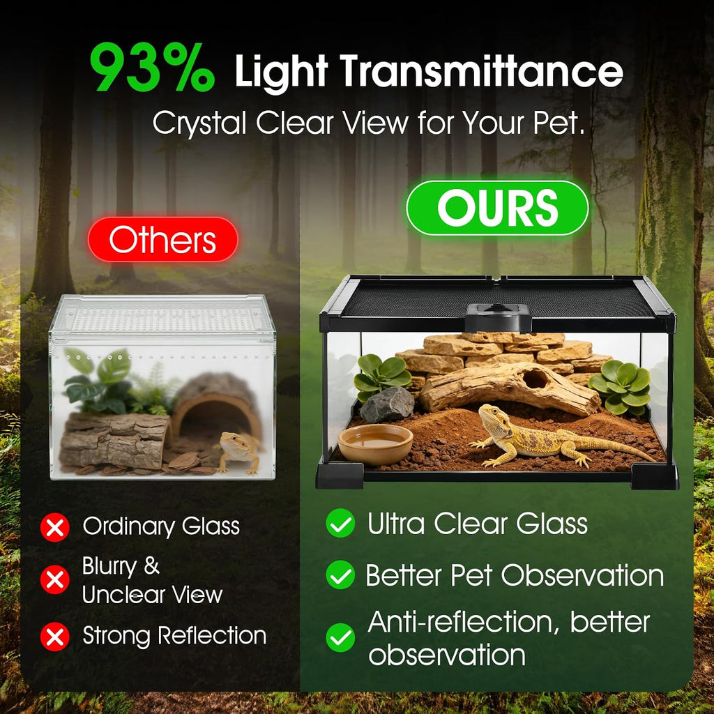 Reptile Terrarium Glass Kit 12" x 8" x 6" Starter Habitat for Tarantula, Succulents, Frogs, or Hermit Crabs, Tank with