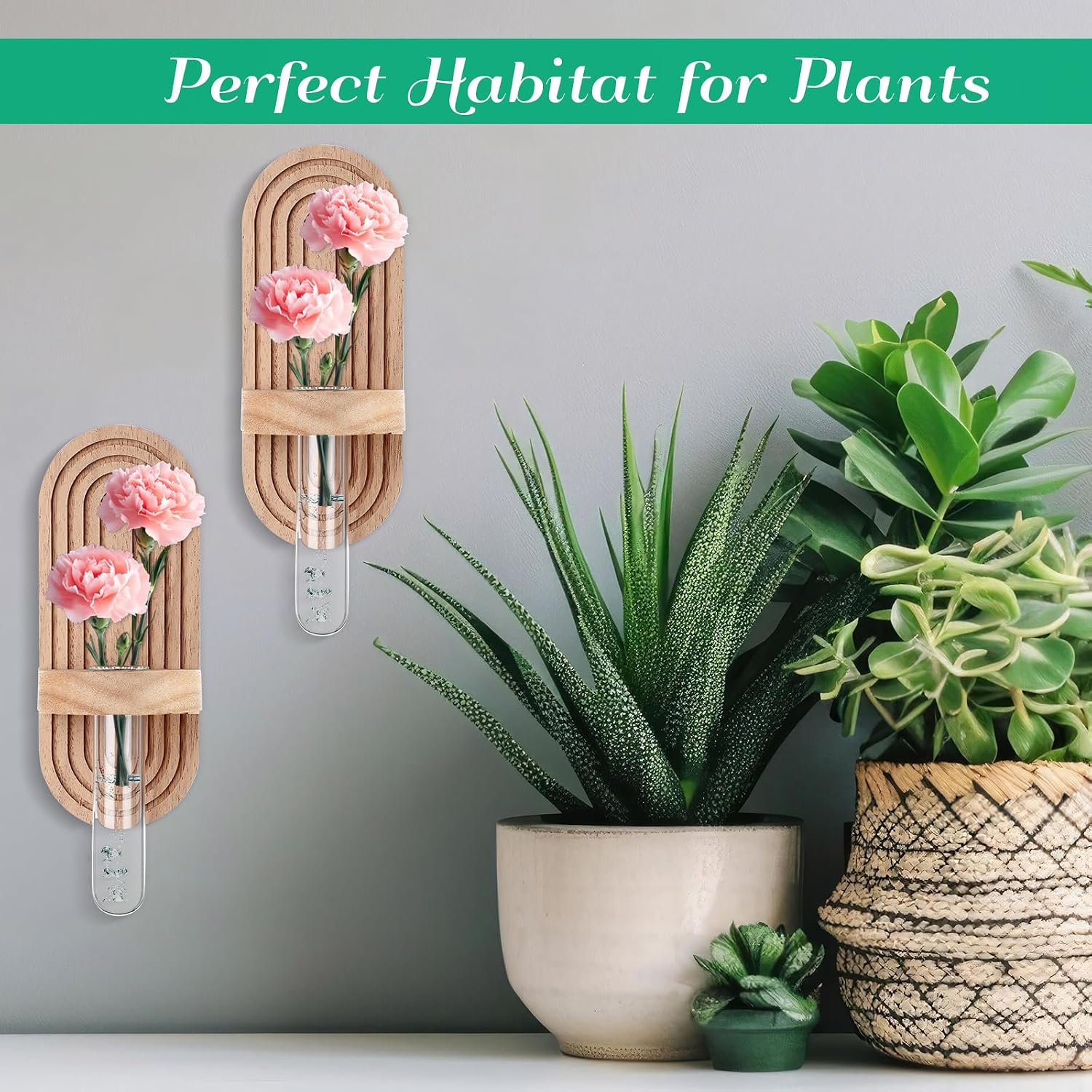Beeveer 4 Sets Hanging Plant Propagation Stations Walnut Wood Wall Mounted Test Tube Vase Rustic Decorative Glass