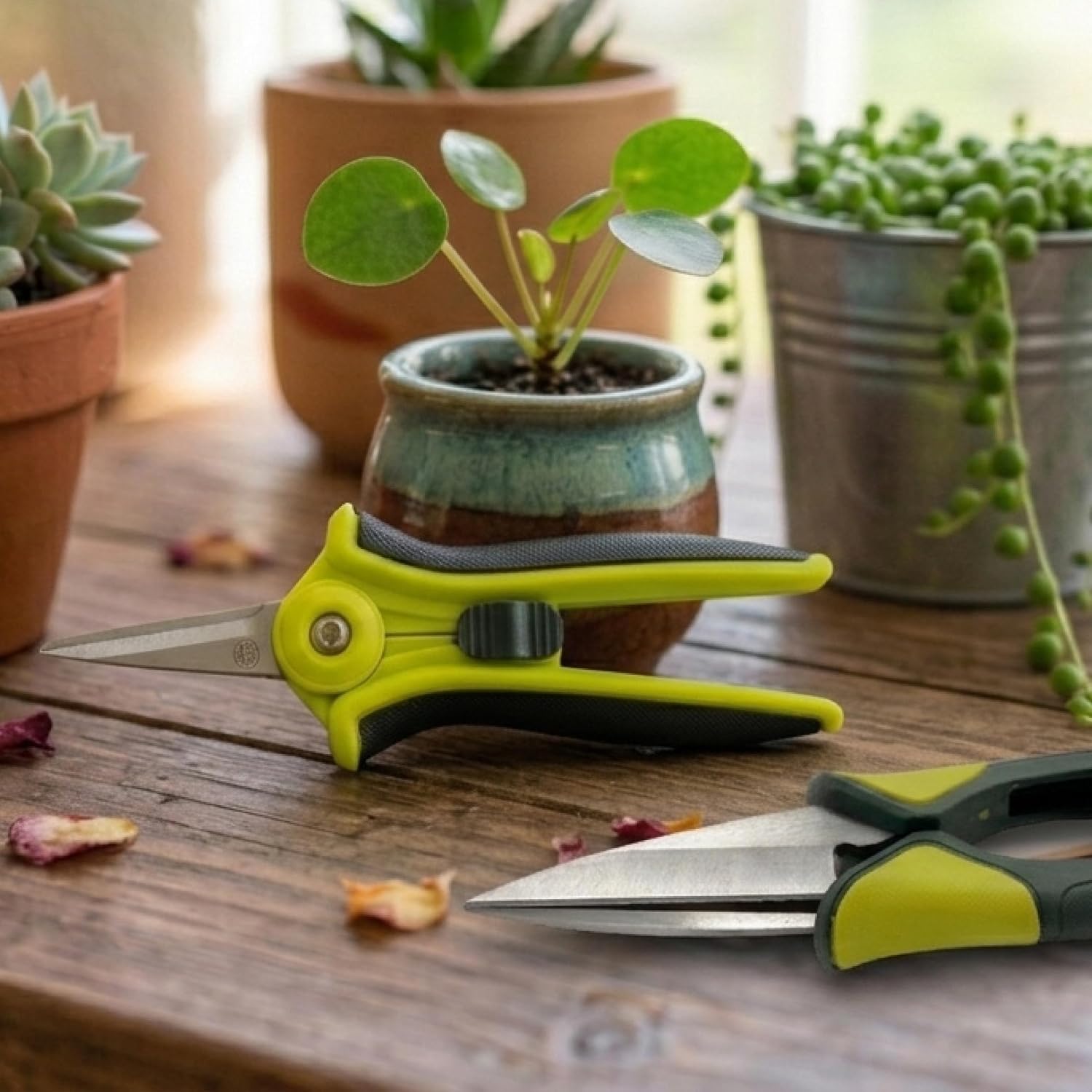 Spear & Jackson Kew Gardens Urban Oasis 4-Piece Garden Tool Set, Plant Shears, Topiary Shears, Planting Trowel & Weed
