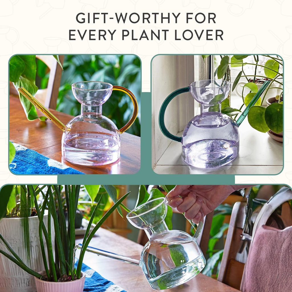 Modern Sprout Glass Watering Can w/Long Sprout - 32oz - (Purple/Emerald) | Handcrafted from Borosilicate Glass - Ideal