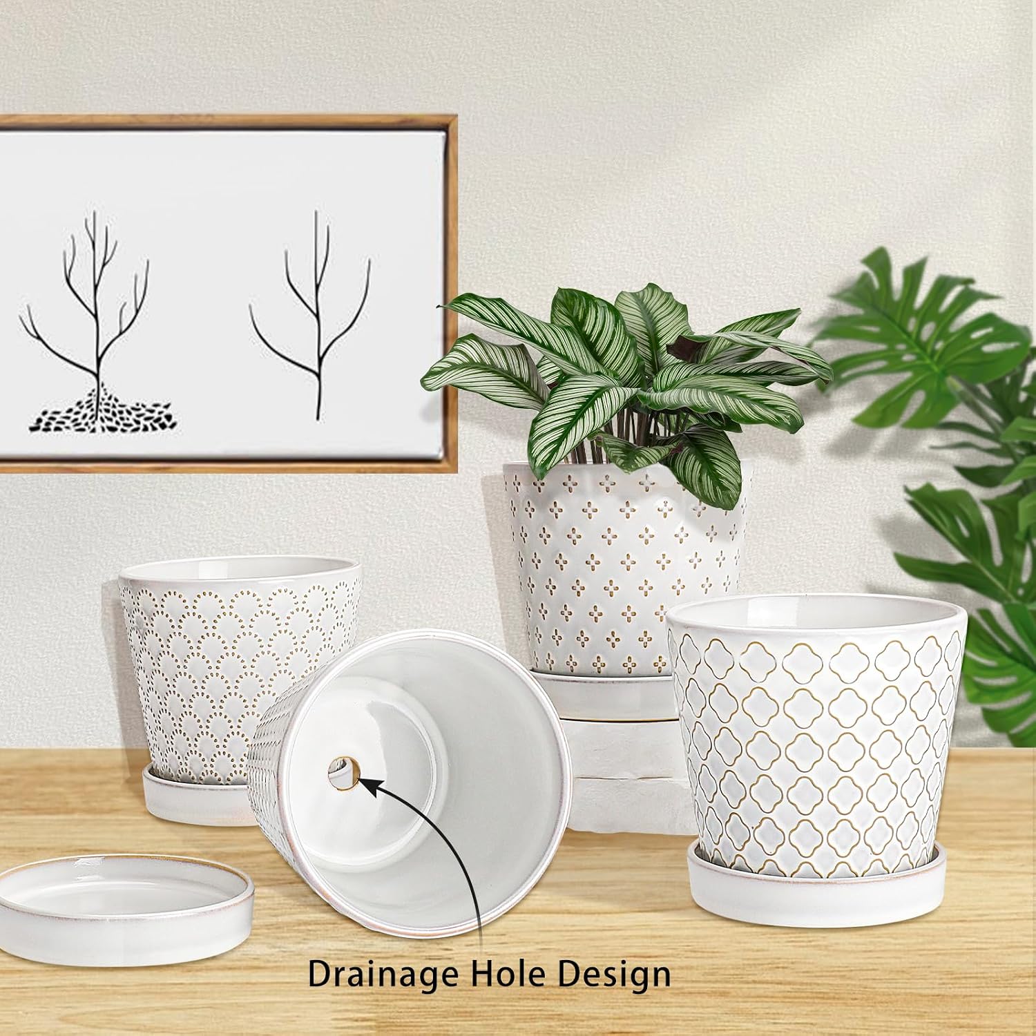 EFISPSS Ceramic Plant Pots Indoor, 5 Inch Planters with Drainage Holes and Ceramic Tray, Relief Design Flower Planter