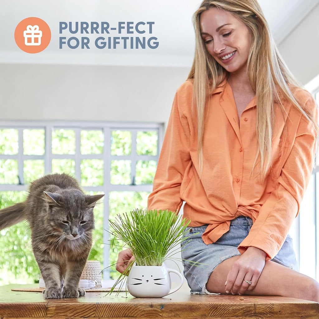 The Cat Ladies Cat Grass Growing Kit with Organic Cat Grass Seed Mix, Soil and Two Cat Grass Planters. Perfect Cat