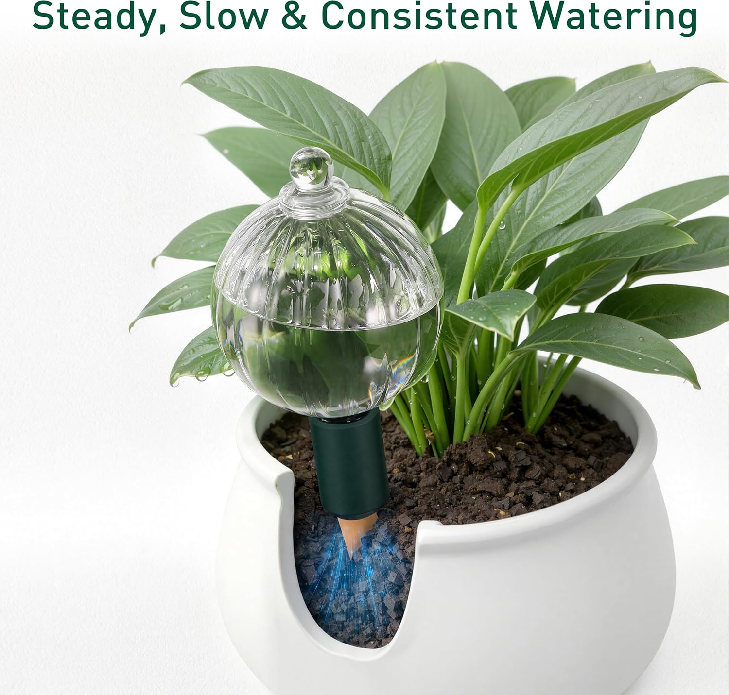 Soilagua 23 oz Extra Large Top Fill Watering Globe with Terracotta Spikes | Top Fill Design, Slow Release Watering