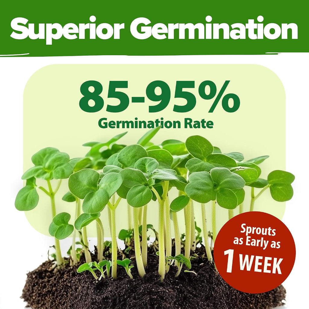 HOME GROWN 70 Variety Vegetable & Herb Seeds 30,600+ USA Non-GMO Heirloom Survival Seeds Garden Kit for Spring, Fall
