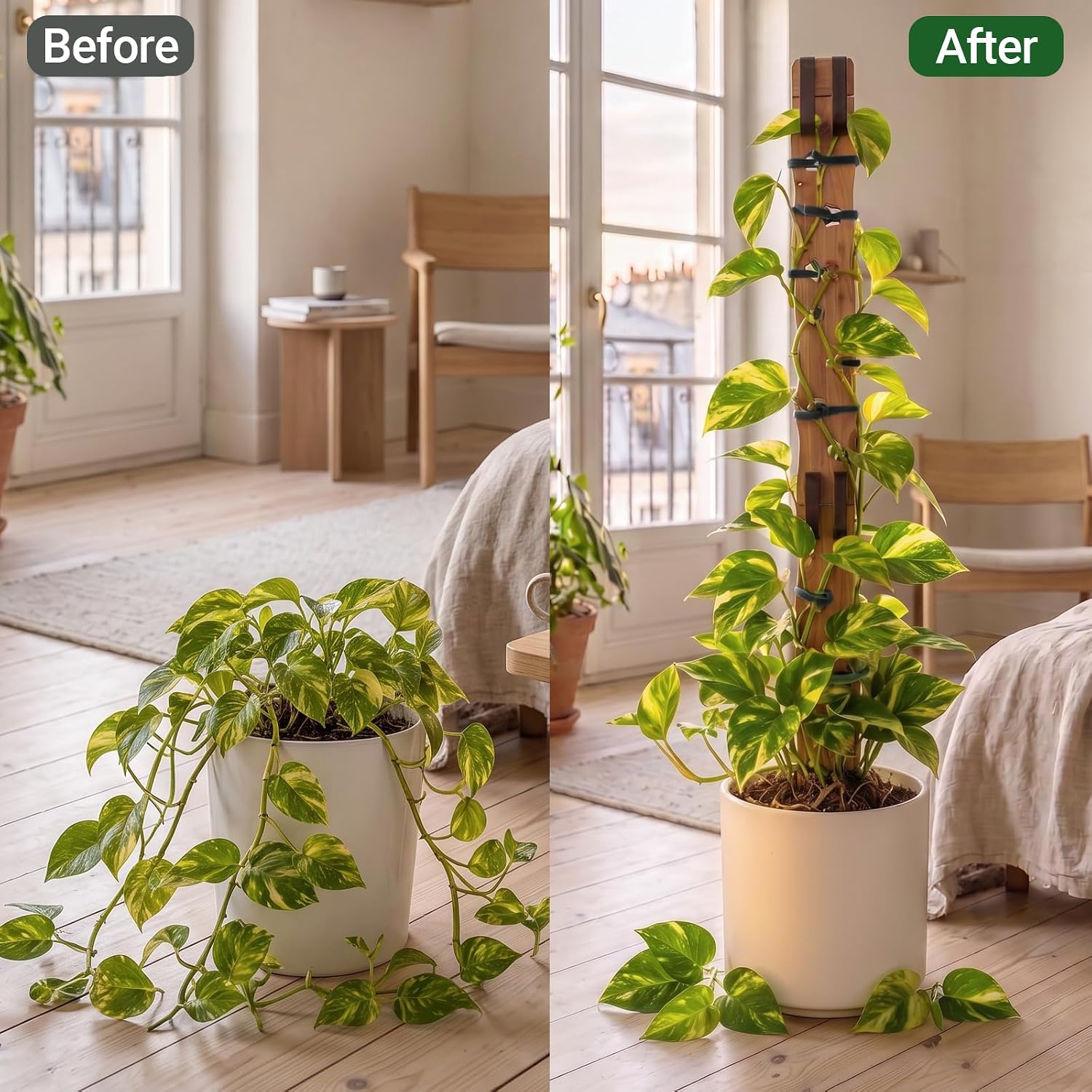 Wooden Extendable Plant Trellis for Potted Plants Indoor, 4 Sets | Expandable Plant Support for Monstera, Pothos &